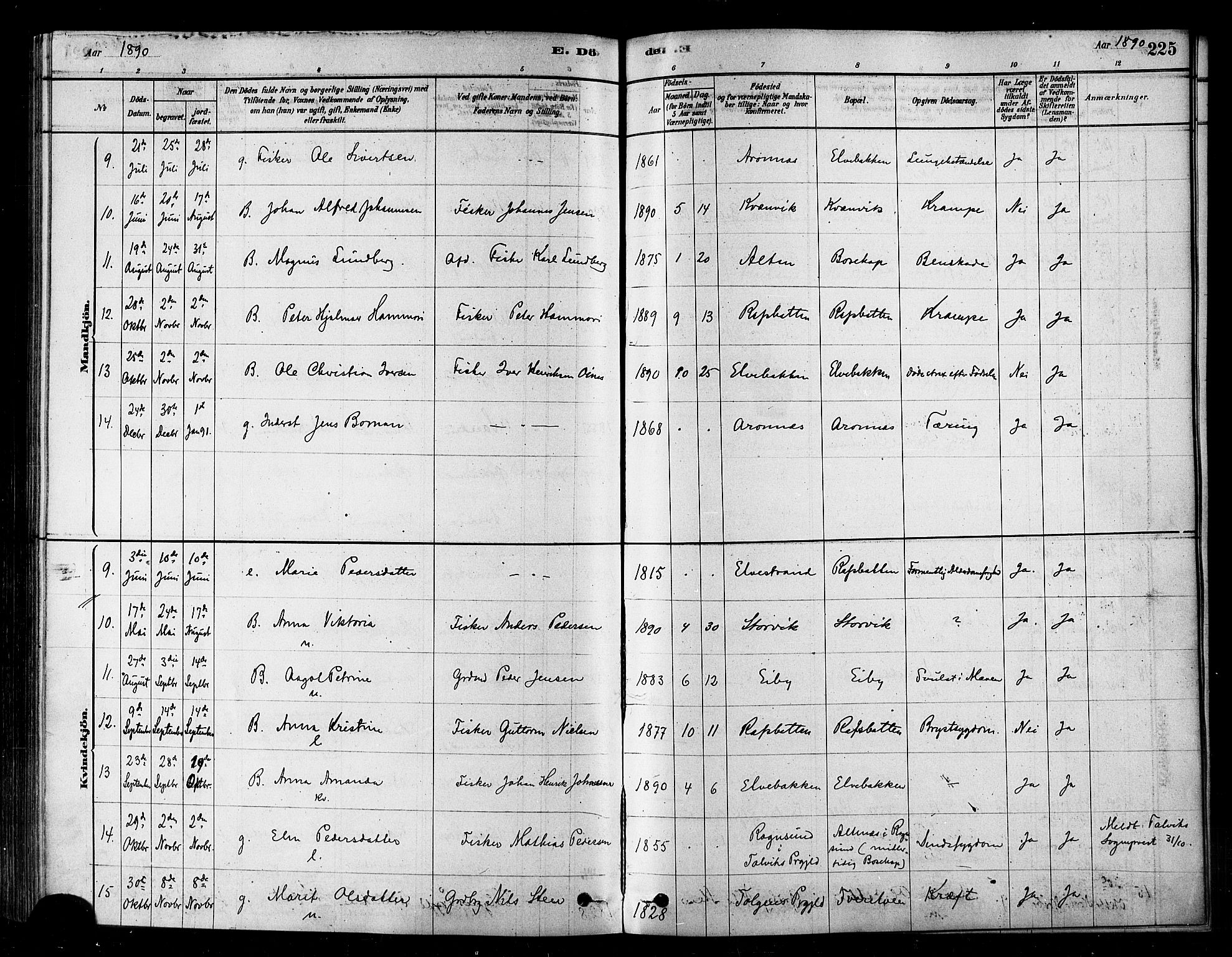Alta sokneprestkontor, SATØ/S-1338/H/Ha/L0002.kirke: Parish register (official) no. 2, 1879-1892, p. 225