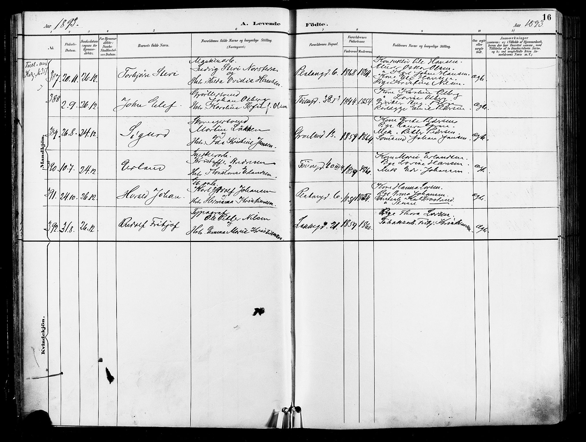 Grønland prestekontor Kirkebøker, AV/SAO-A-10848/F/Fa/L0012: Parish register (official) no. 12, 1893-1900, p. 16