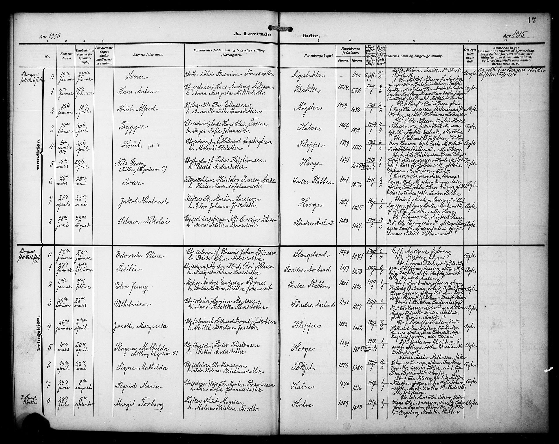 Austevoll sokneprestembete, AV/SAB-A-74201/H/Ha/Hab/Habb/L0006: Parish register (copy) no. B 6, 1911-1925, p. 17