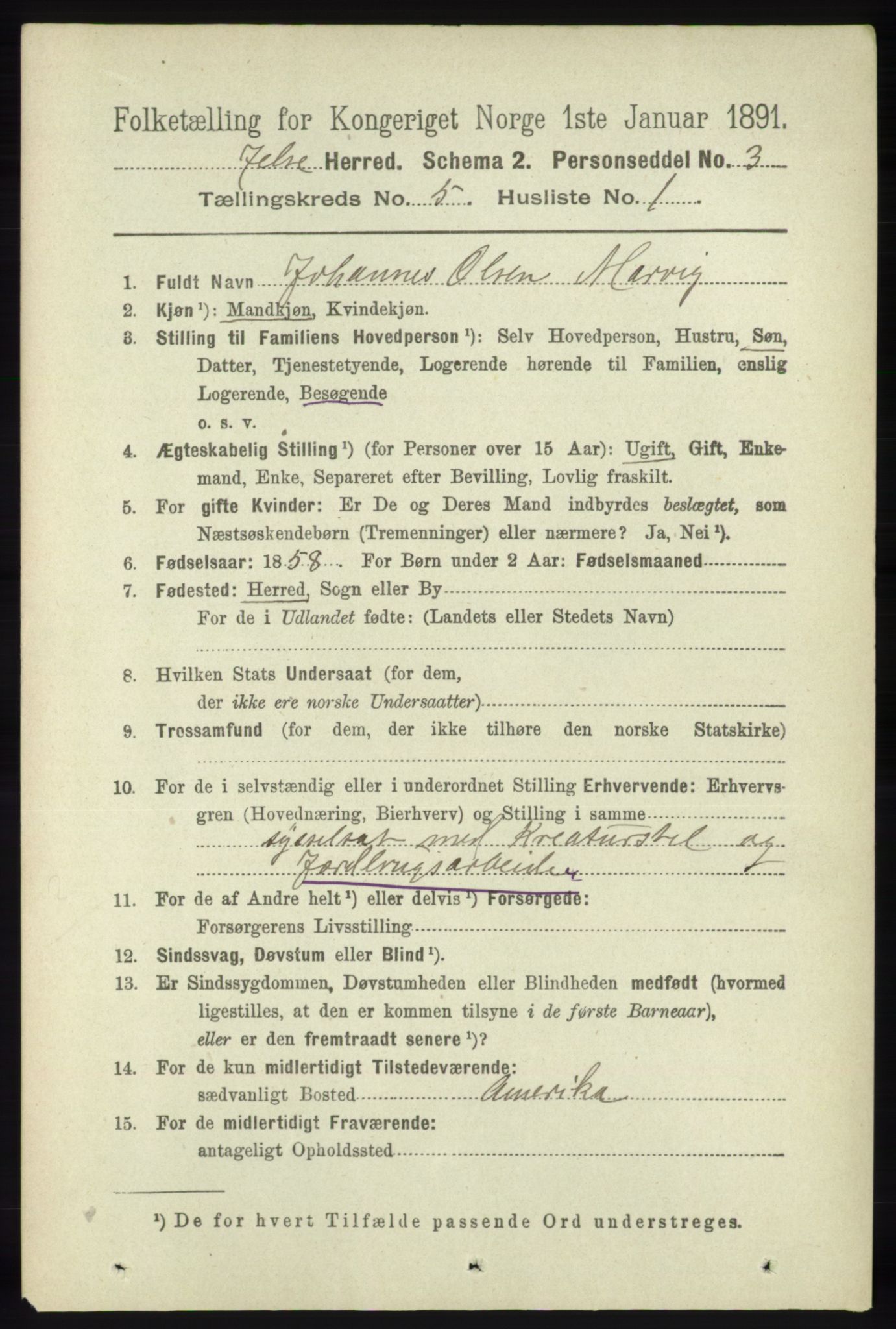 RA, 1891 census for 1138 Jelsa, 1891, p. 1065