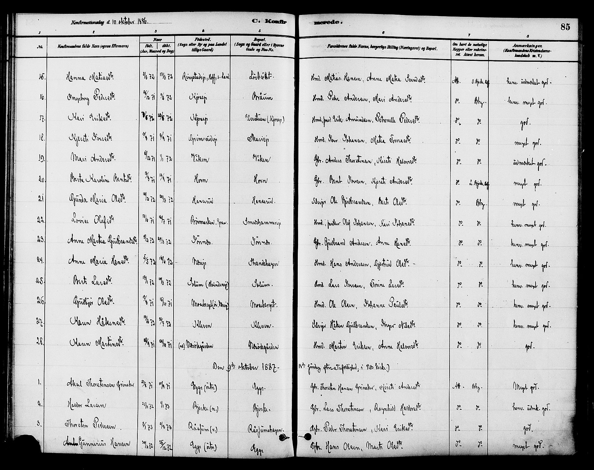 Gran prestekontor, SAH/PREST-112/H/Ha/Haa/L0015: Parish register (official) no. 15, 1880-1888, p. 85