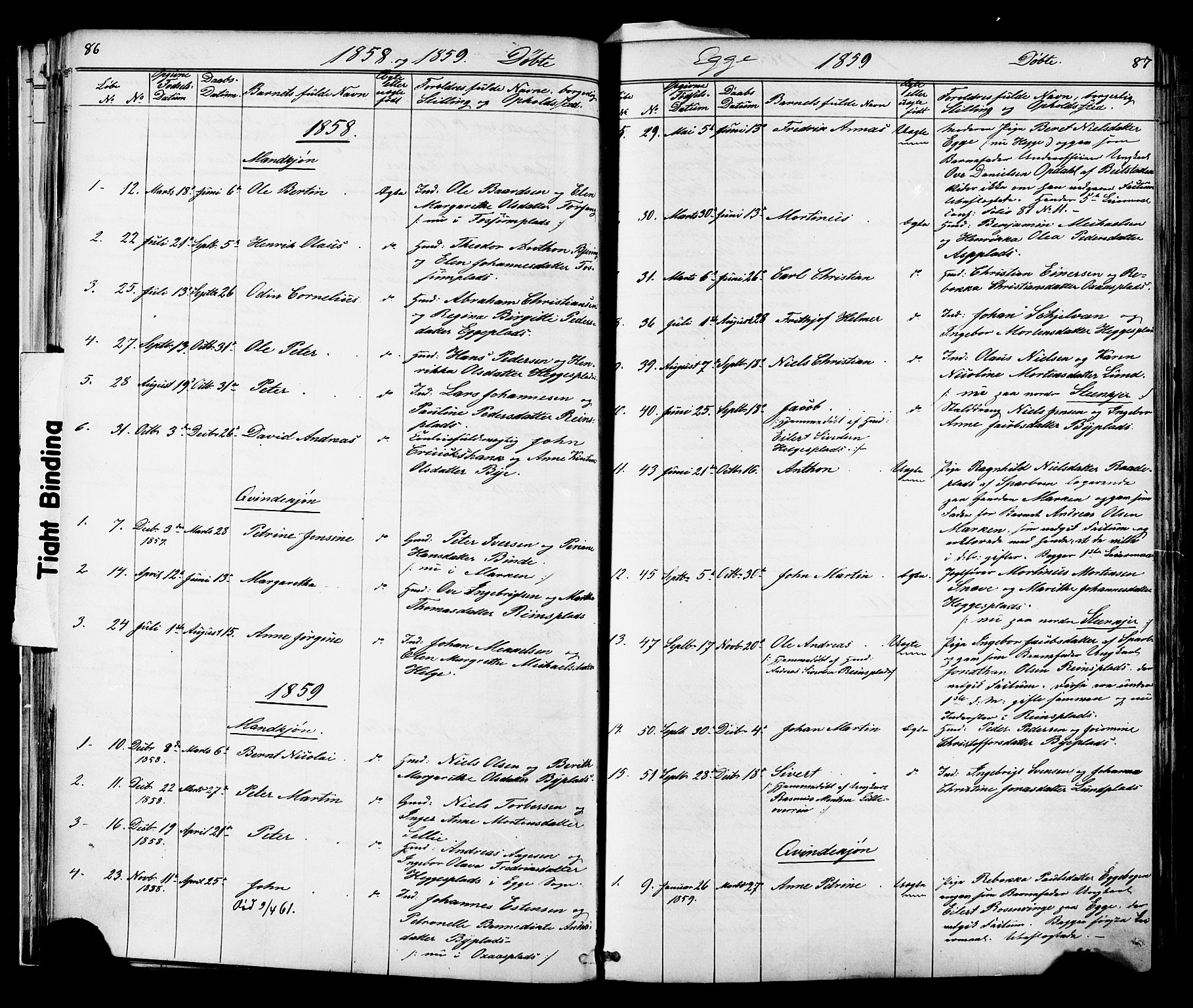 Ministerialprotokoller, klokkerbøker og fødselsregistre - Nord-Trøndelag, SAT/A-1458/739/L0367: Parish register (official) no. 739A01 /3, 1838-1868, p. 86-87