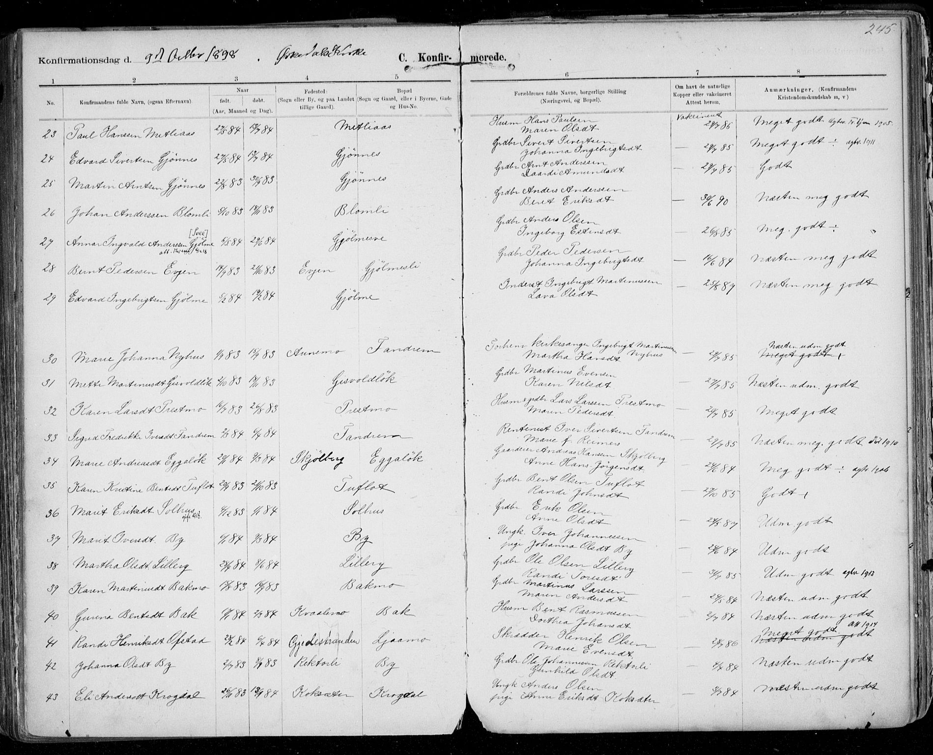 Ministerialprotokoller, klokkerbøker og fødselsregistre - Sør-Trøndelag, SAT/A-1456/668/L0811: Parish register (official) no. 668A11, 1894-1913, p. 245