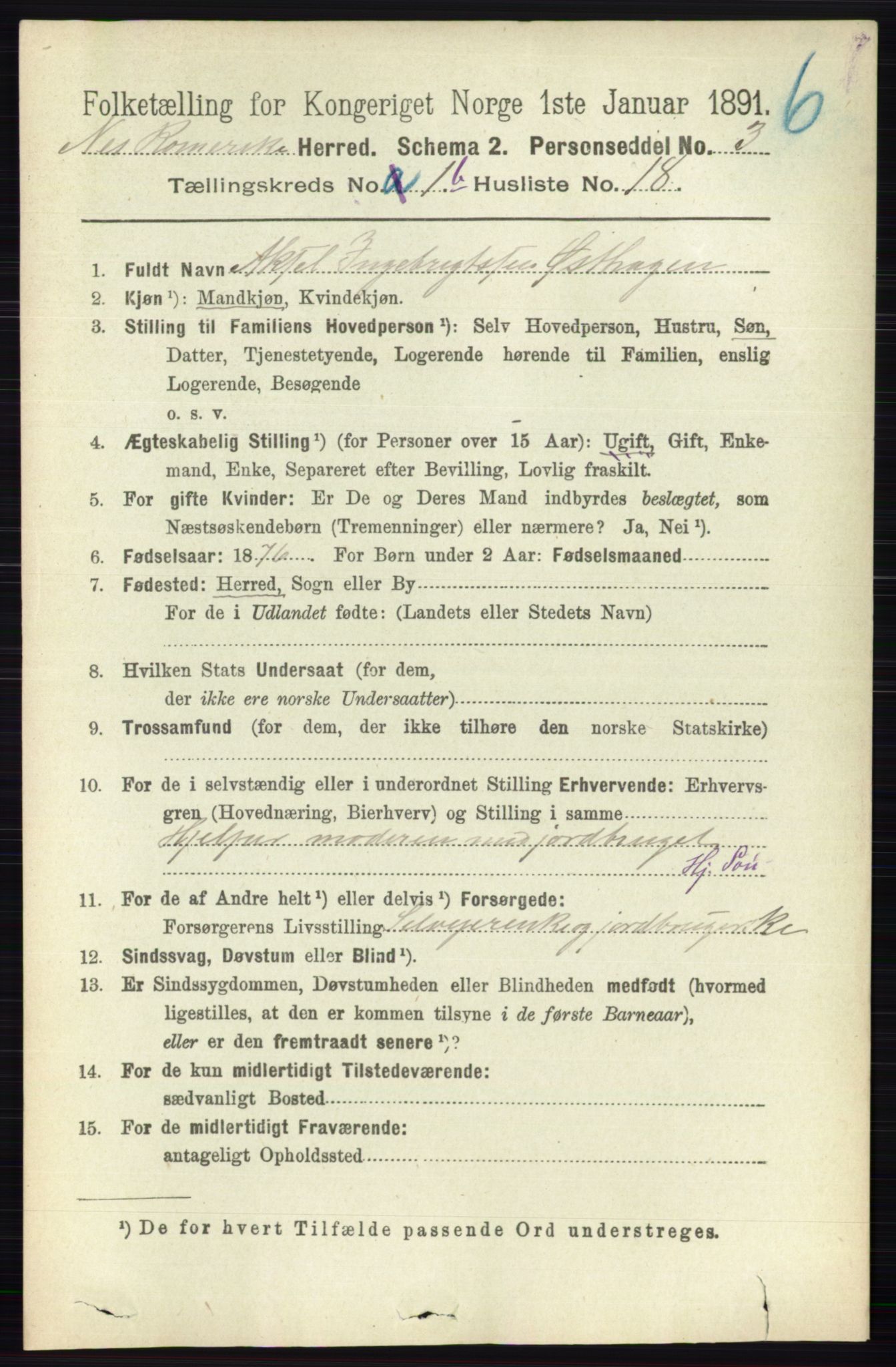 RA, 1891 census for 0236 Nes, 1891, p. 822