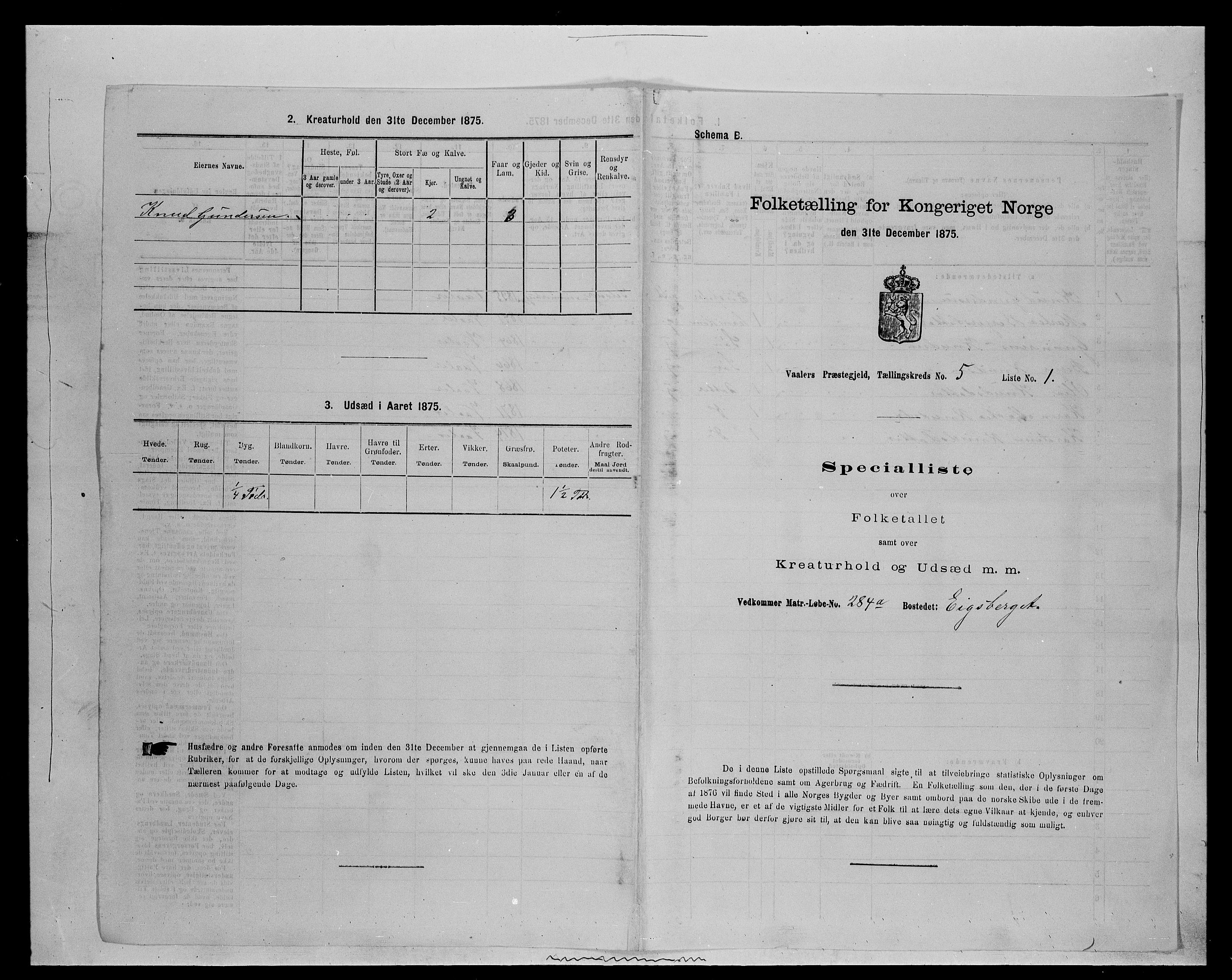 SAH, 1875 census for 0426P Våler parish (Hedmark), 1875, p. 587