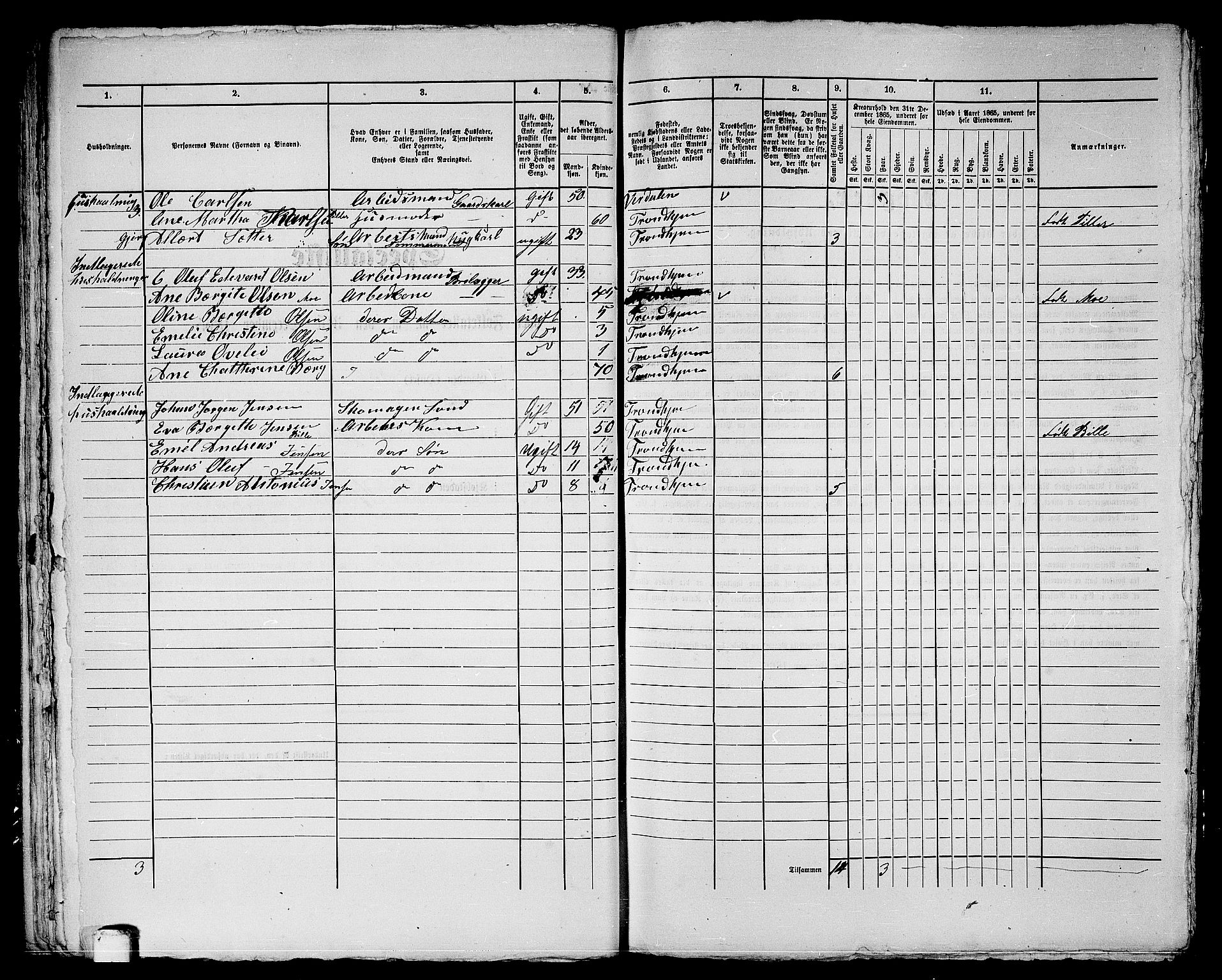 RA, 1865 census for Trondheim, 1865, p. 2118