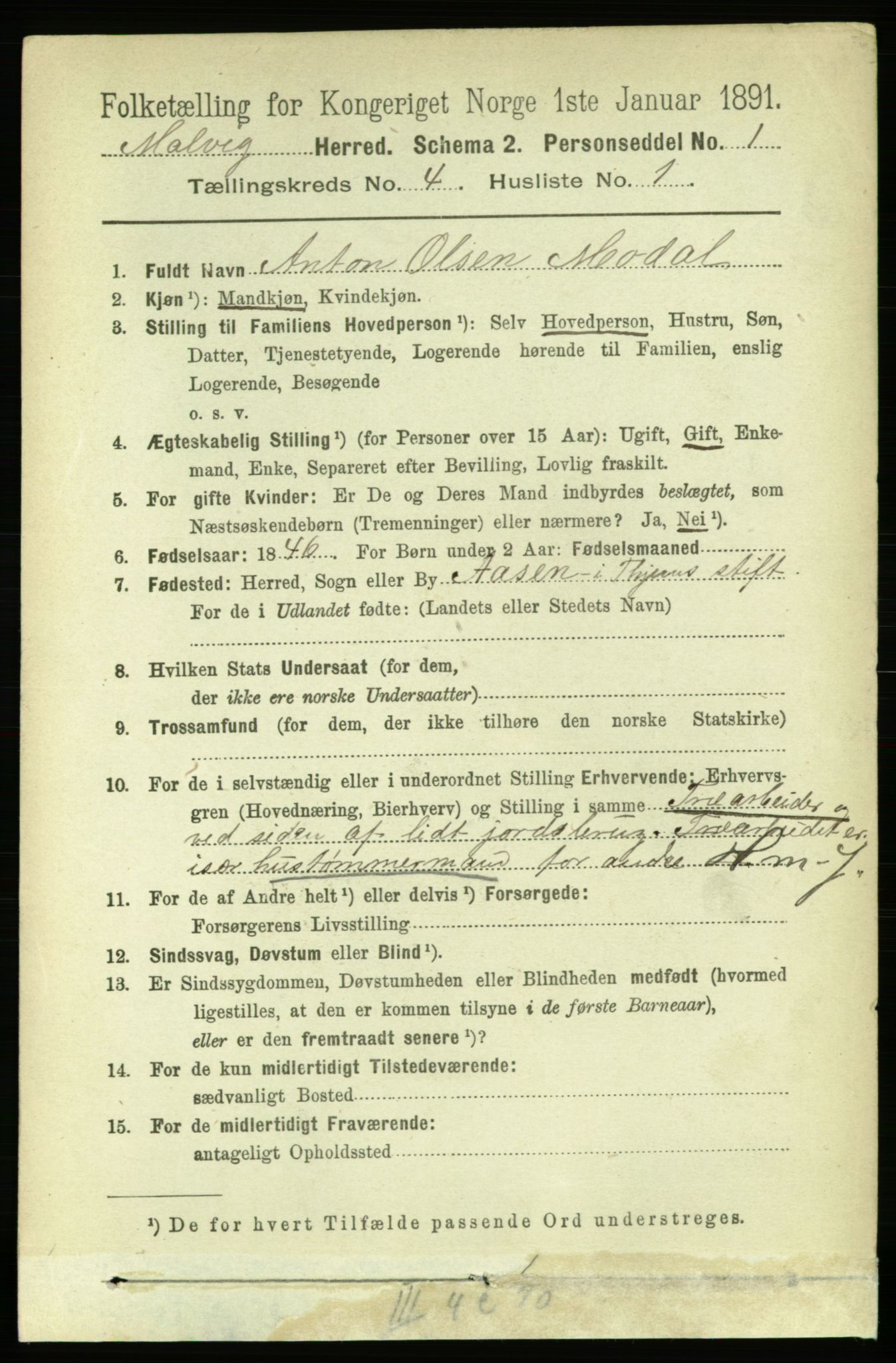 RA, 1891 census for 1663 Malvik, 1891, p. 2691