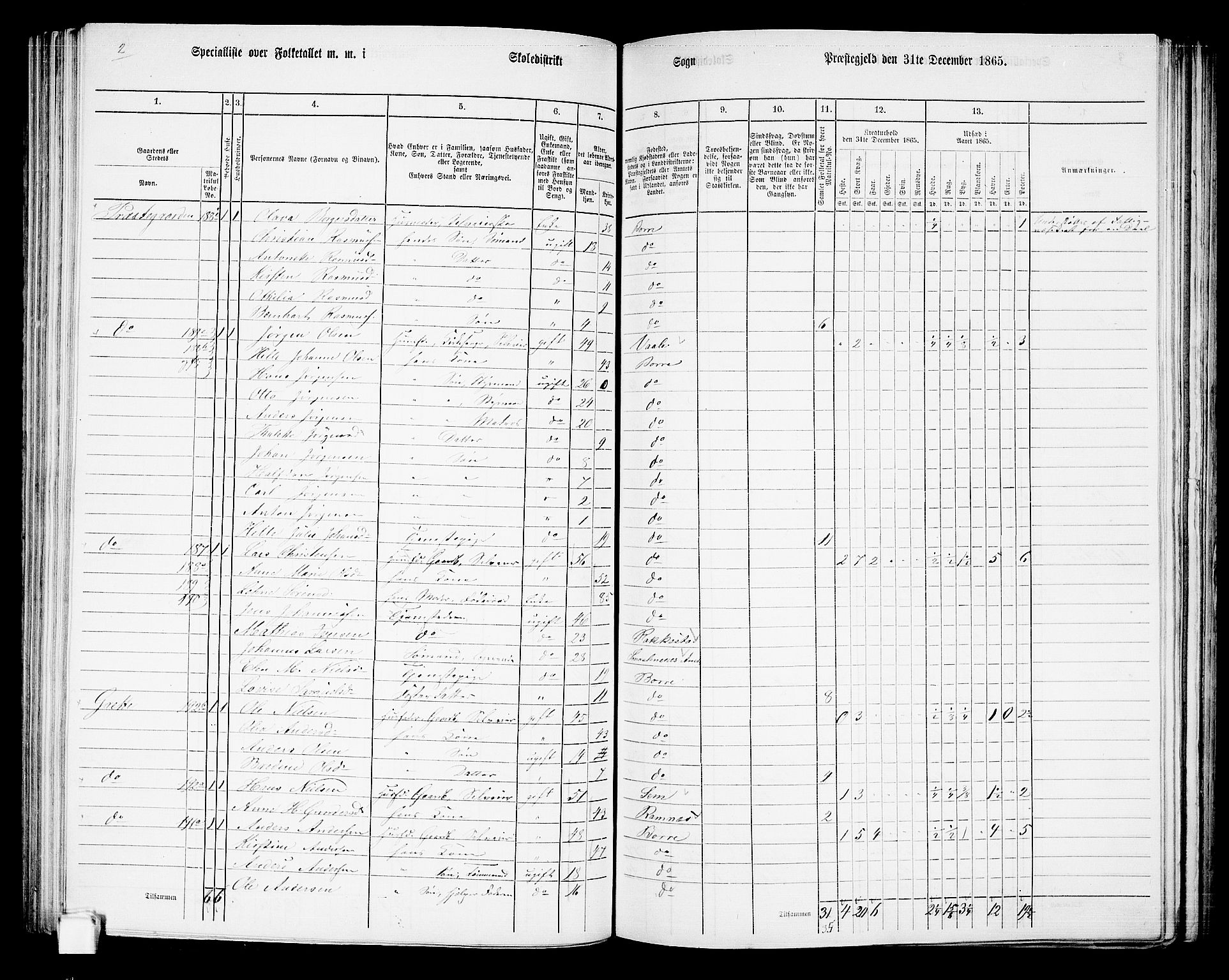 RA, 1865 census for Borre, 1865, p. 135