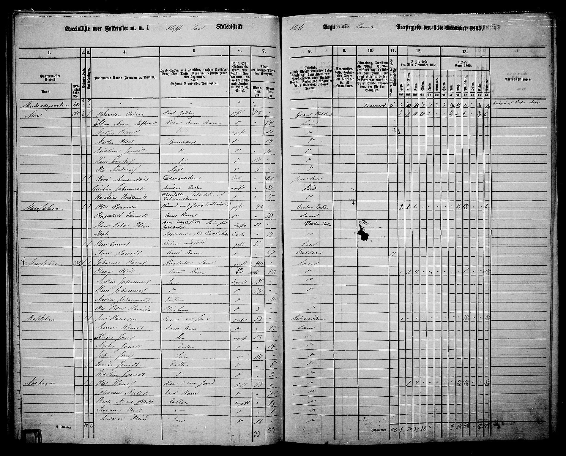 RA, 1865 census for Land, 1865, p. 318