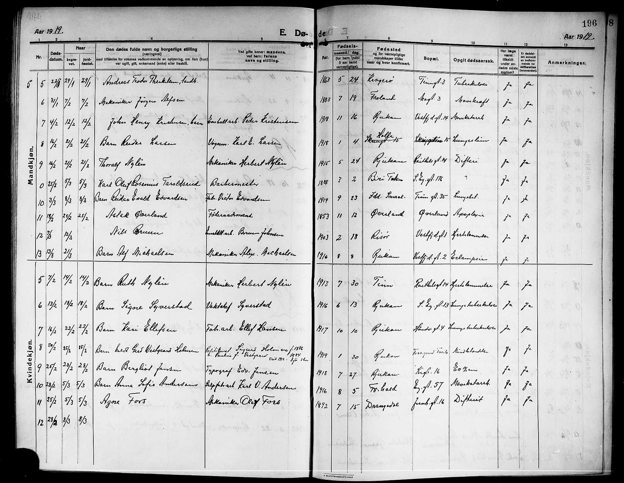 Rjukan kirkebøker, SAKO/A-294/G/Ga/L0002: Parish register (copy) no. 2, 1913-1920, p. 196