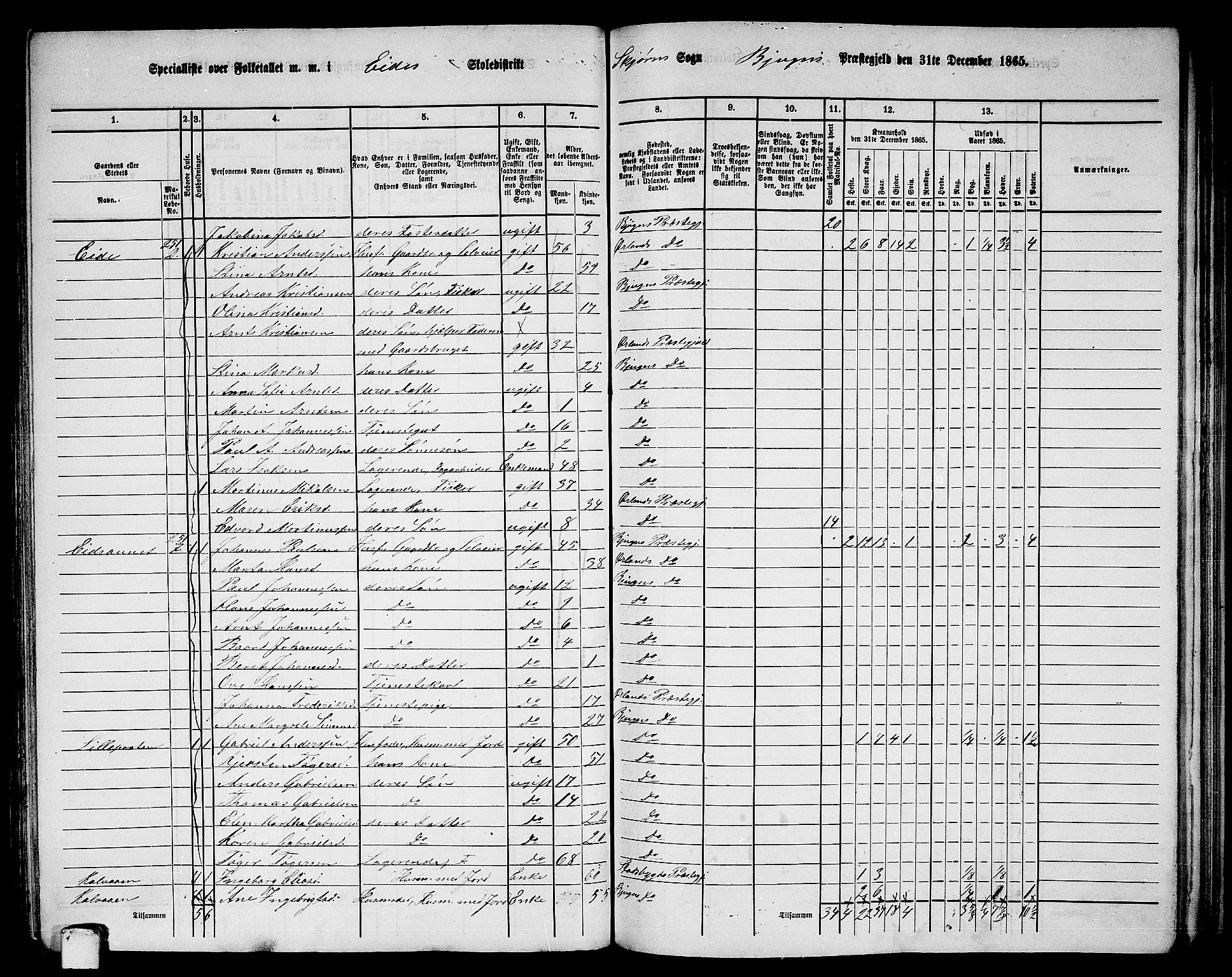 RA, 1865 census for Bjugn, 1865, p. 88