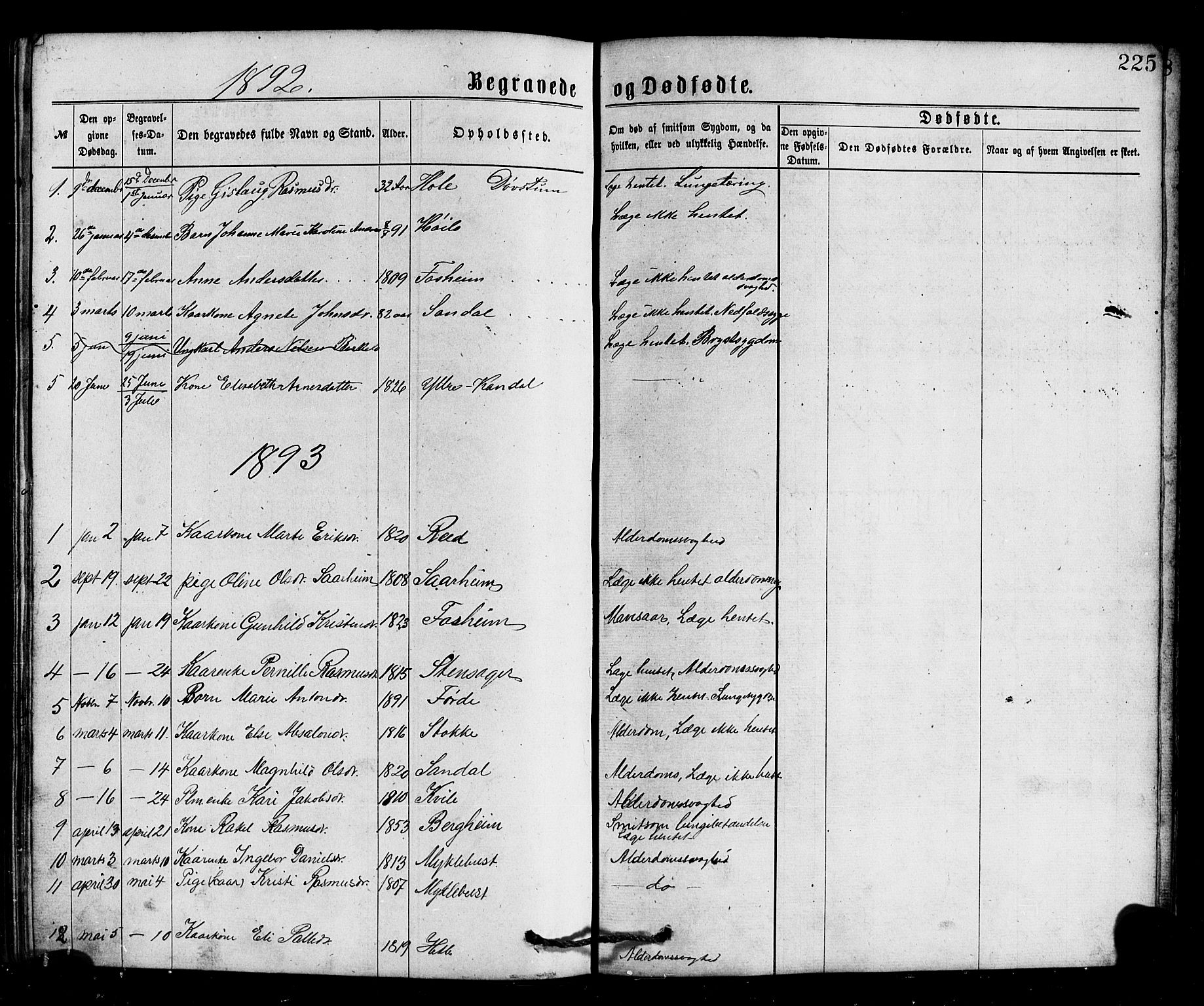 Gloppen sokneprestembete, SAB/A-80101/H/Hab/Habc/L0001: Parish register (copy) no. C 1, 1872-1896, p. 225