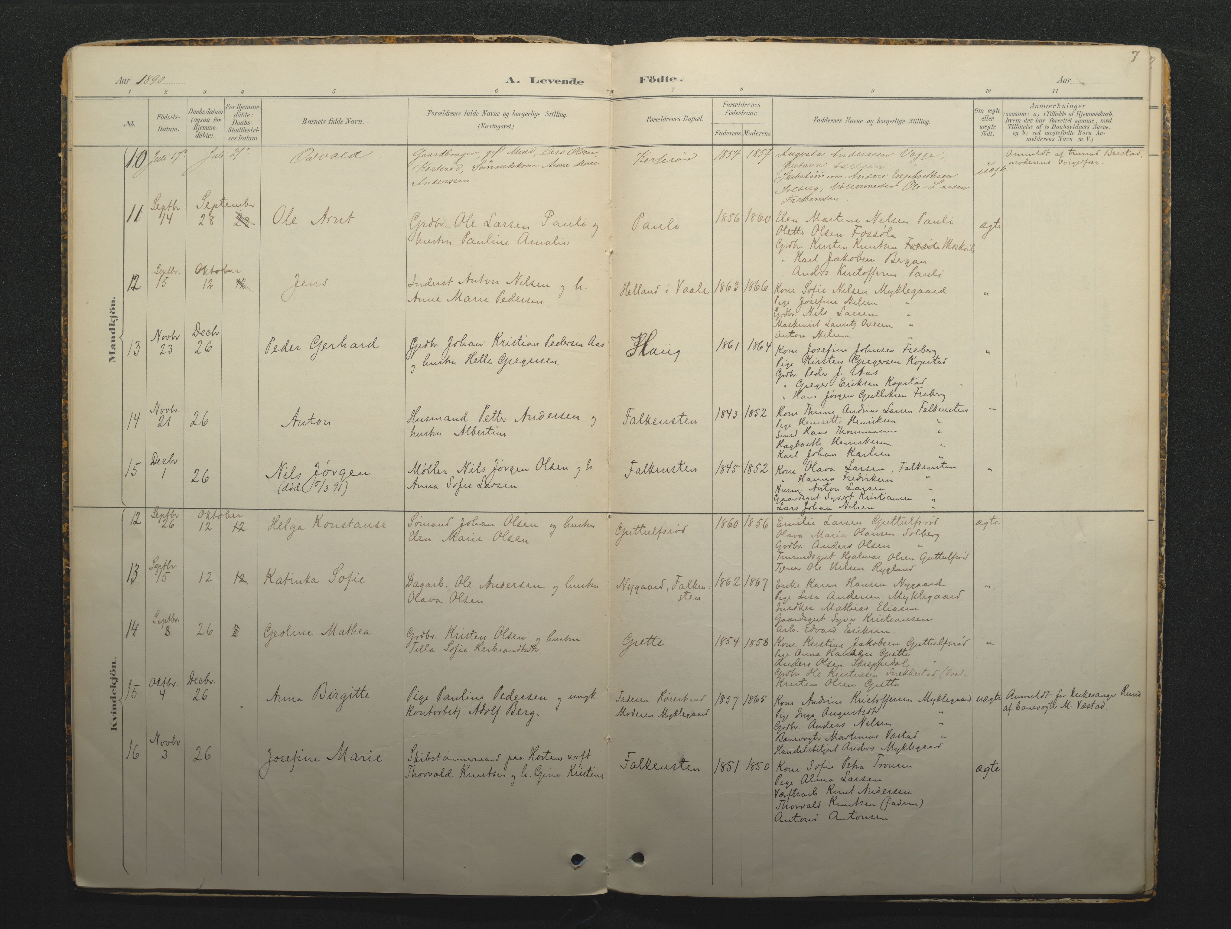 Borre kirkebøker, SAKO/A-338/F/Fc/L0002: Parish register (official) no. III 2, 1888-1896, p. 7