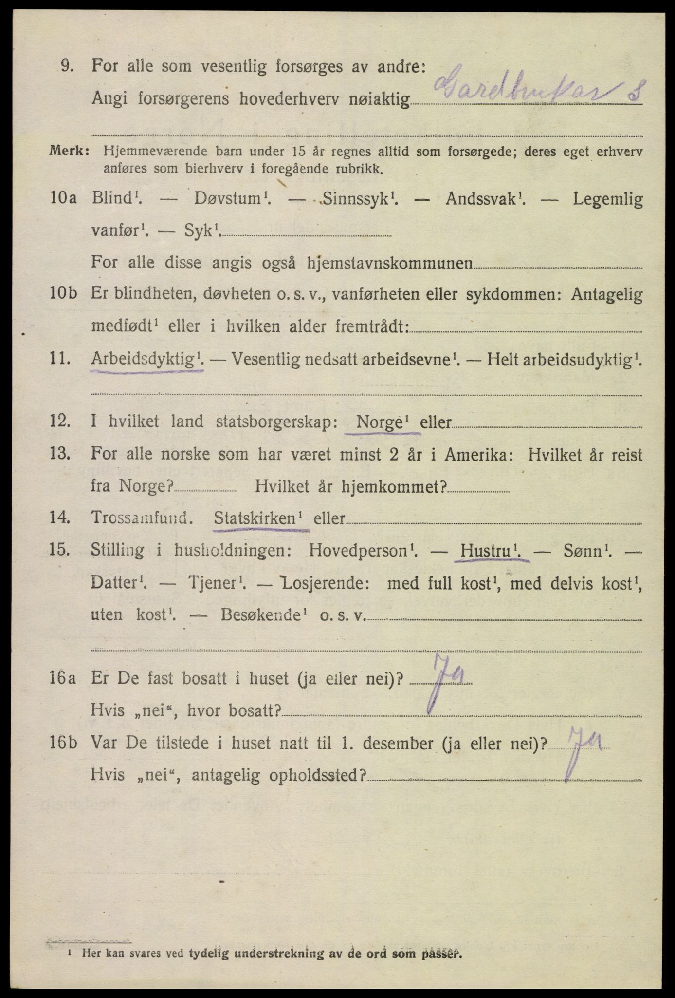 SAK, 1920 census for Hornnes, 1920, p. 806