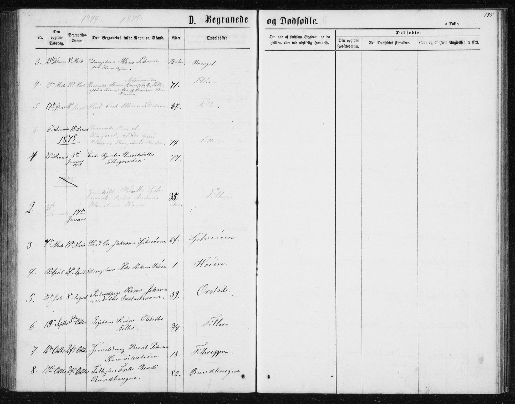 Ministerialprotokoller, klokkerbøker og fødselsregistre - Sør-Trøndelag, SAT/A-1456/621/L0459: Parish register (copy) no. 621C02, 1866-1895, p. 135