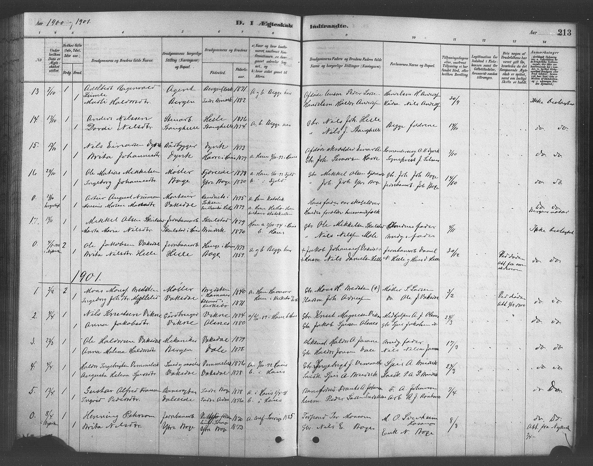 Bruvik Sokneprestembete, SAB/A-74701/H/Hab: Parish register (copy) no. A 1, 1878-1907, p. 213