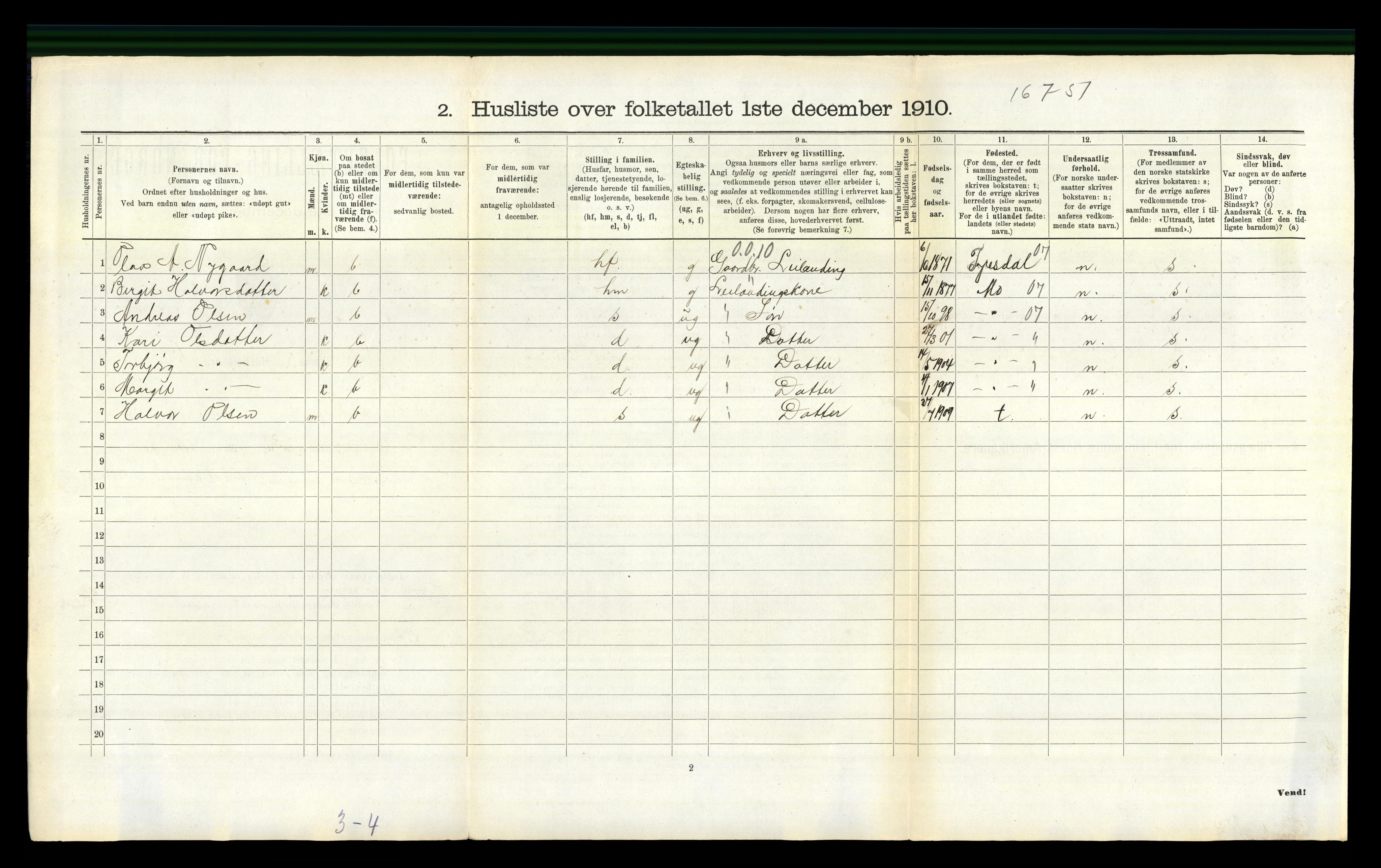 RA, 1910 census for Lårdal, 1910, p. 314