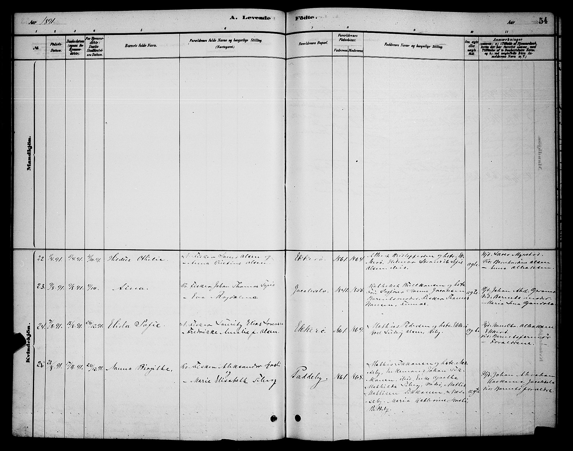 Vadsø sokneprestkontor, SATØ/S-1325/H/Hb/L0003klokker: Parish register (copy) no. 3, 1881-1901, p. 54