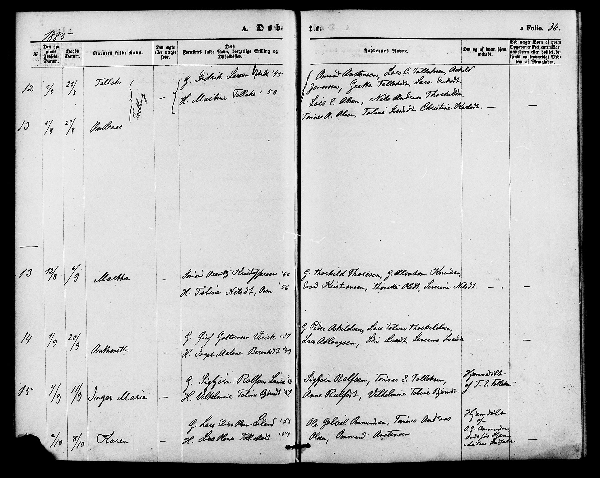 Bakke sokneprestkontor, AV/SAK-1111-0002/F/Fa/Faa/L0007: Parish register (official) no. A 7, 1877-1886, p. 36