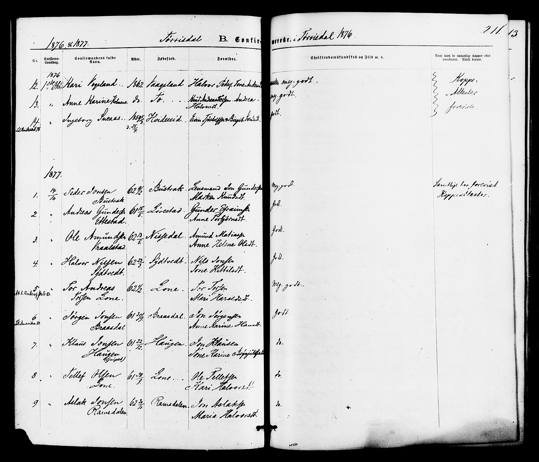 Drangedal kirkebøker, SAKO/A-258/F/Fa/L0009: Parish register (official) no. 9 /2, 1872-1884, p. 211