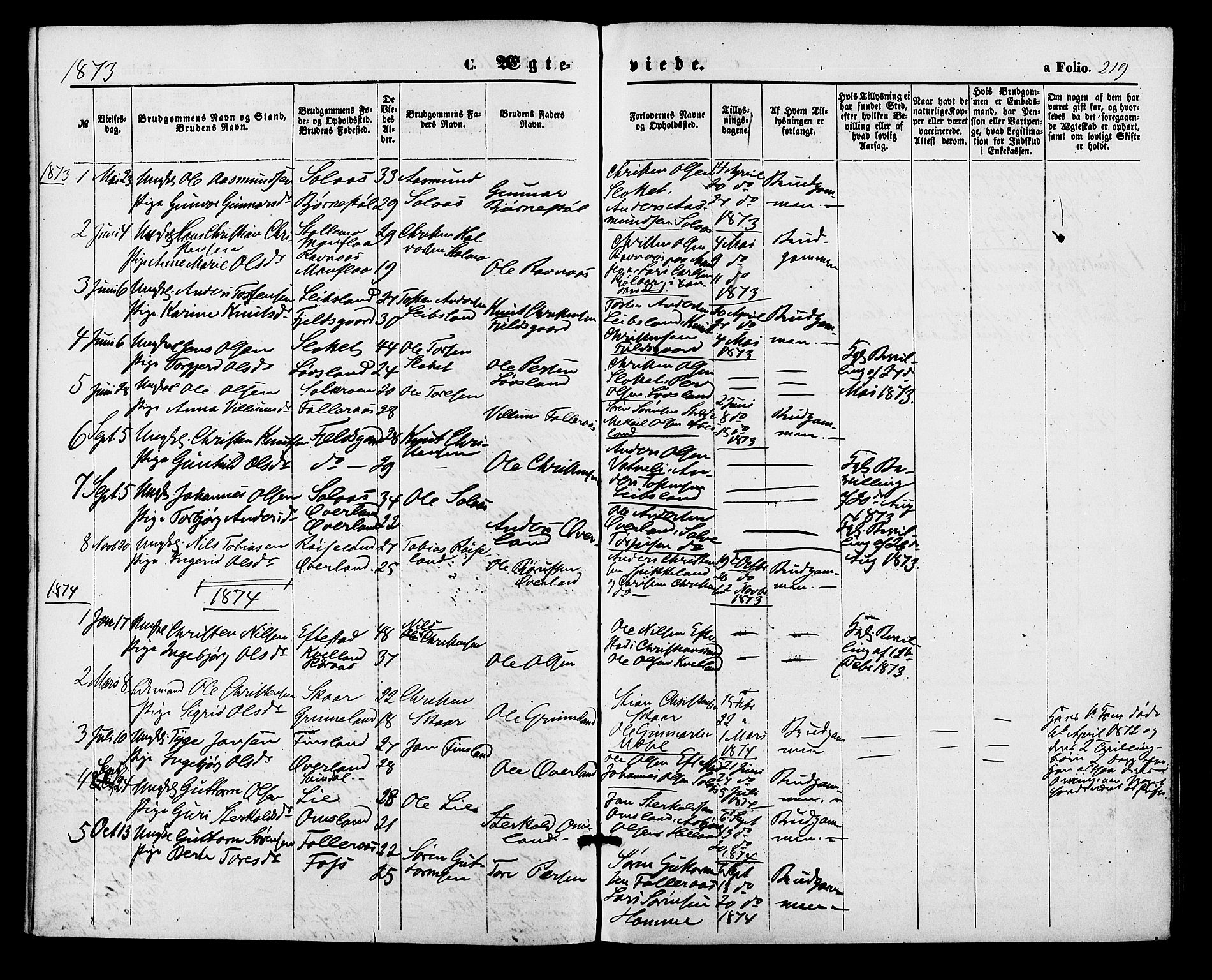 Bjelland sokneprestkontor, SAK/1111-0005/F/Fa/Fab/L0003: Parish register (official) no. A 3, 1870-1887, p. 219
