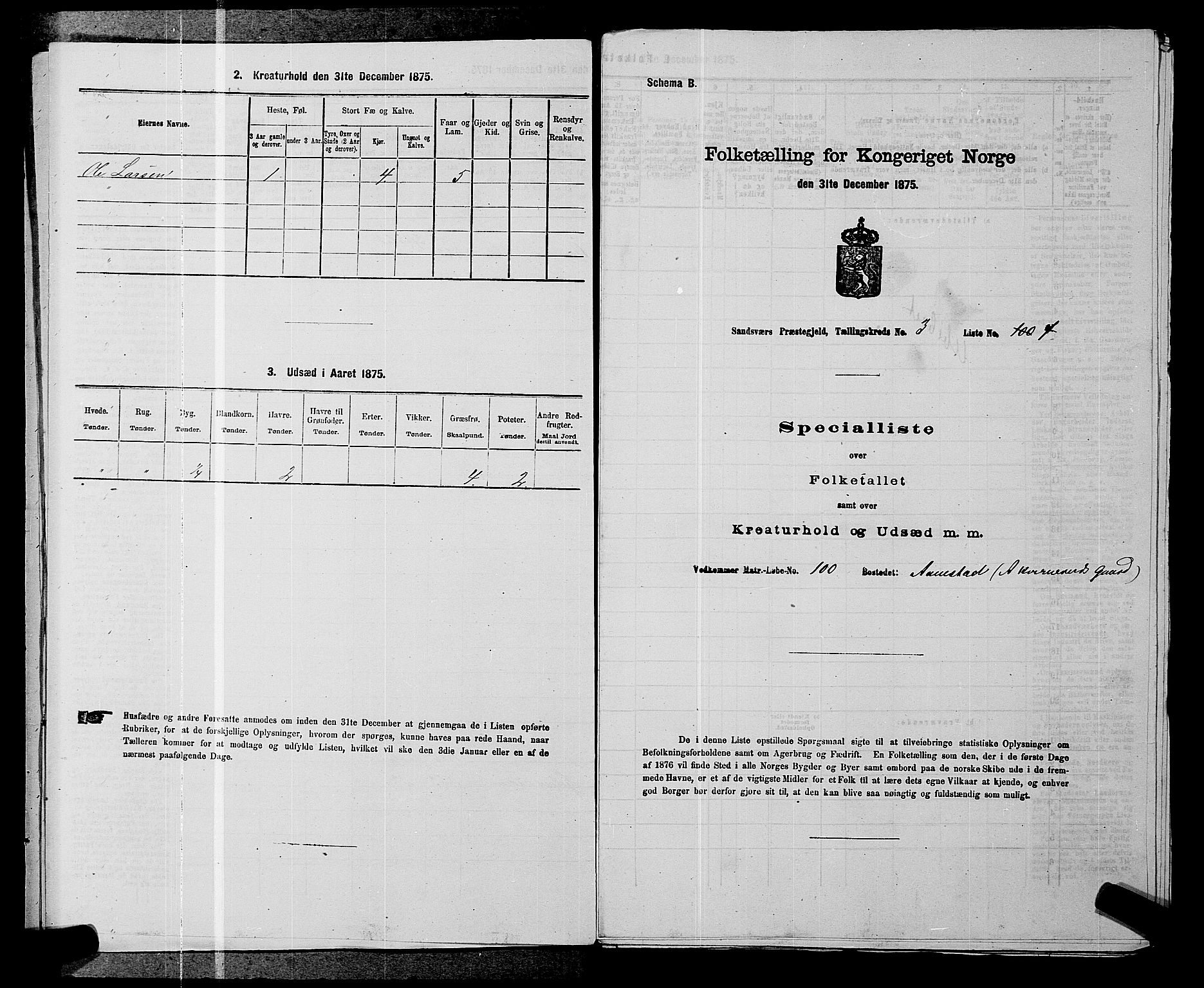 SAKO, 1875 census for 0629P Sandsvær, 1875, p. 552