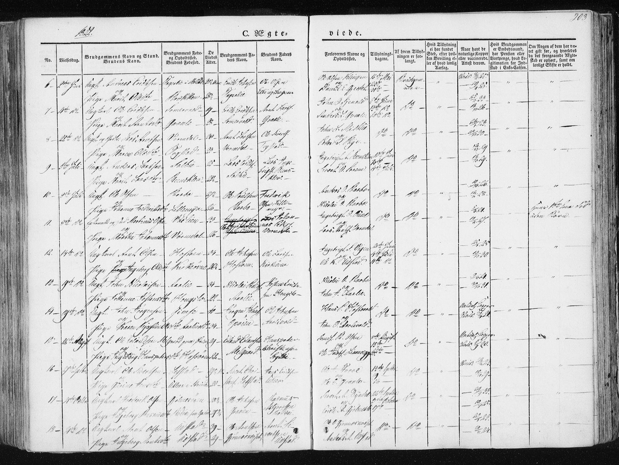 Ministerialprotokoller, klokkerbøker og fødselsregistre - Sør-Trøndelag, SAT/A-1456/668/L0805: Parish register (official) no. 668A05, 1840-1853, p. 203