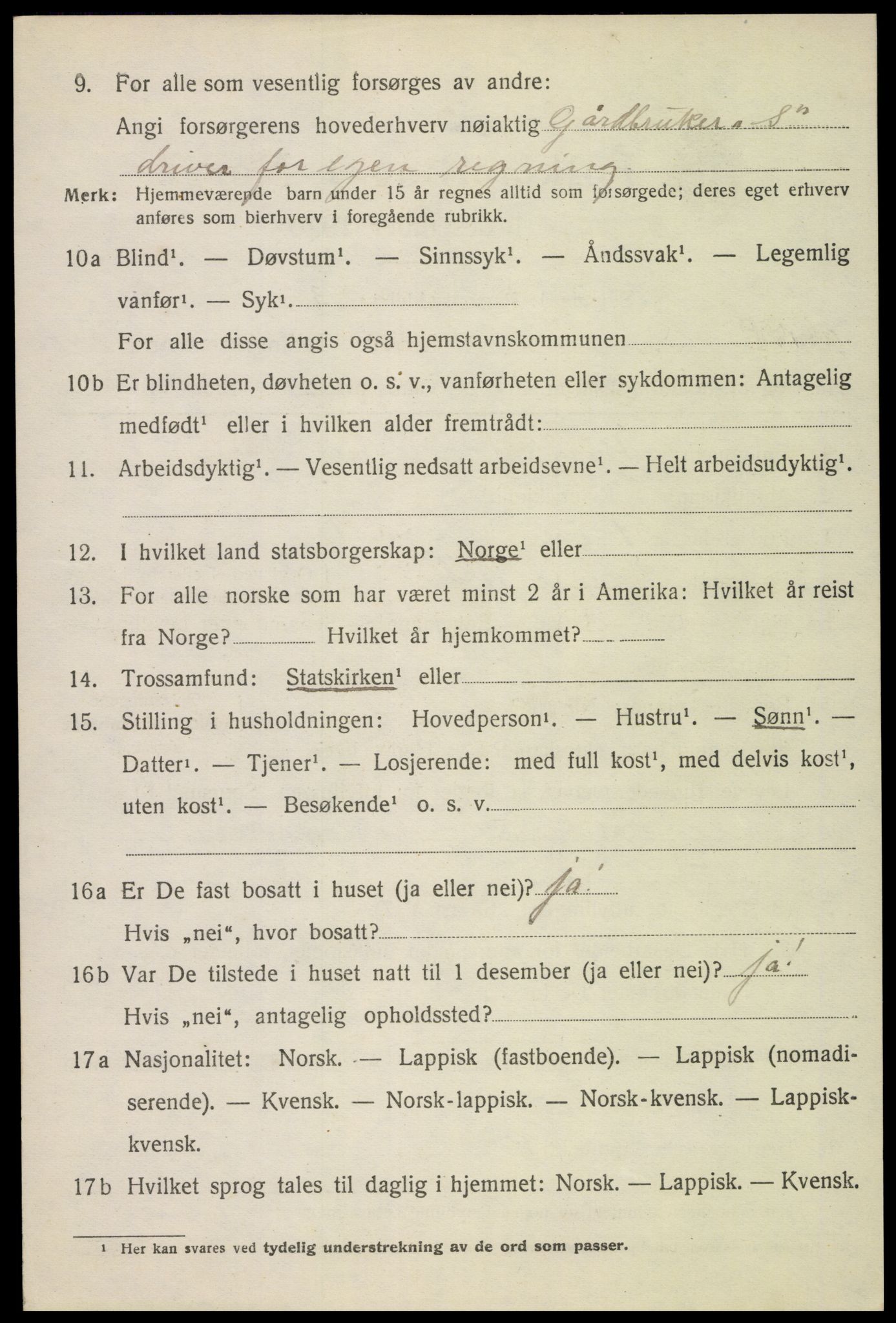 SAT, 1920 census for Borge, 1920, p. 10296