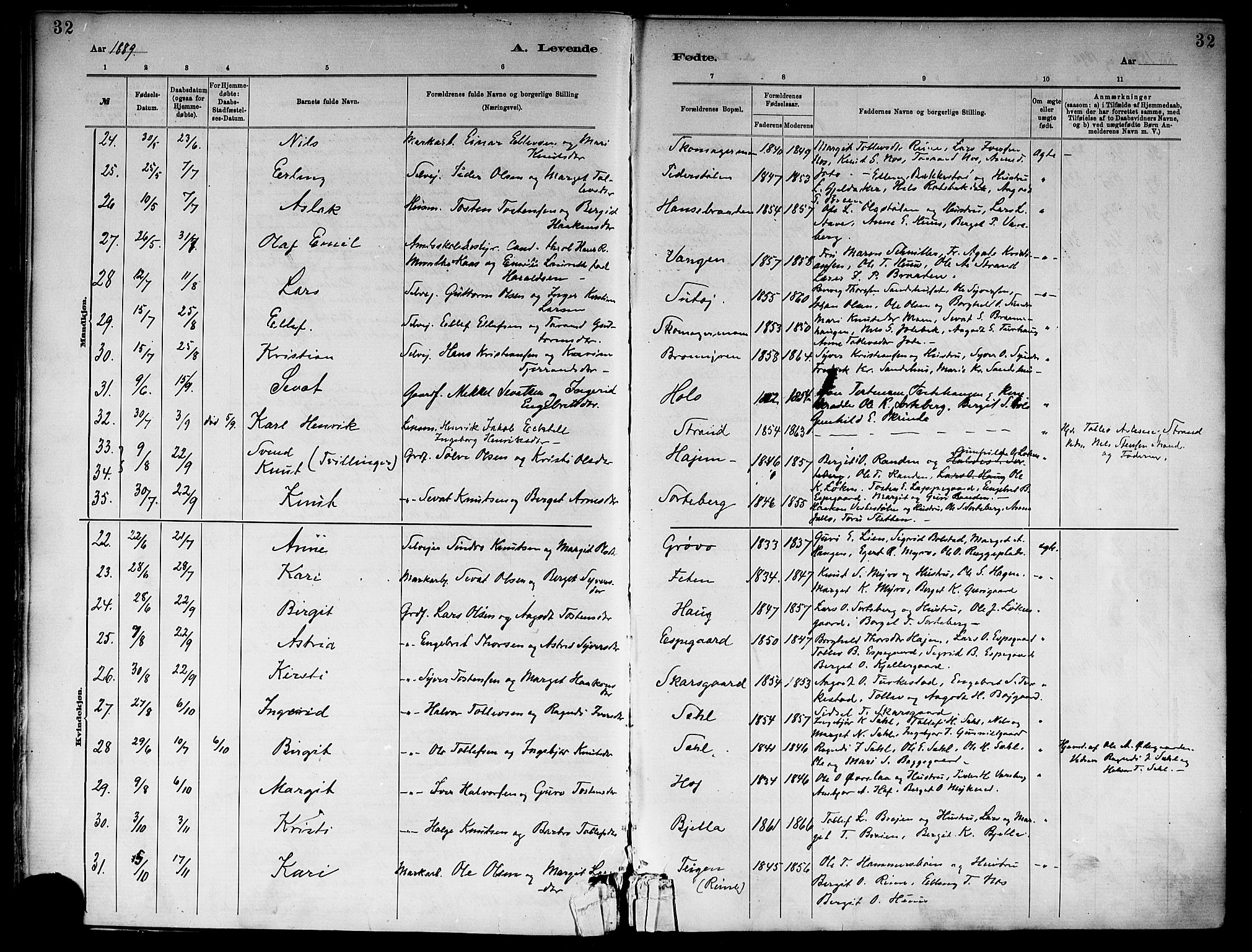 Ål kirkebøker, SAKO/A-249/F/Fa/L0008: Parish register (official) no. I 8, 1882-1896, p. 32