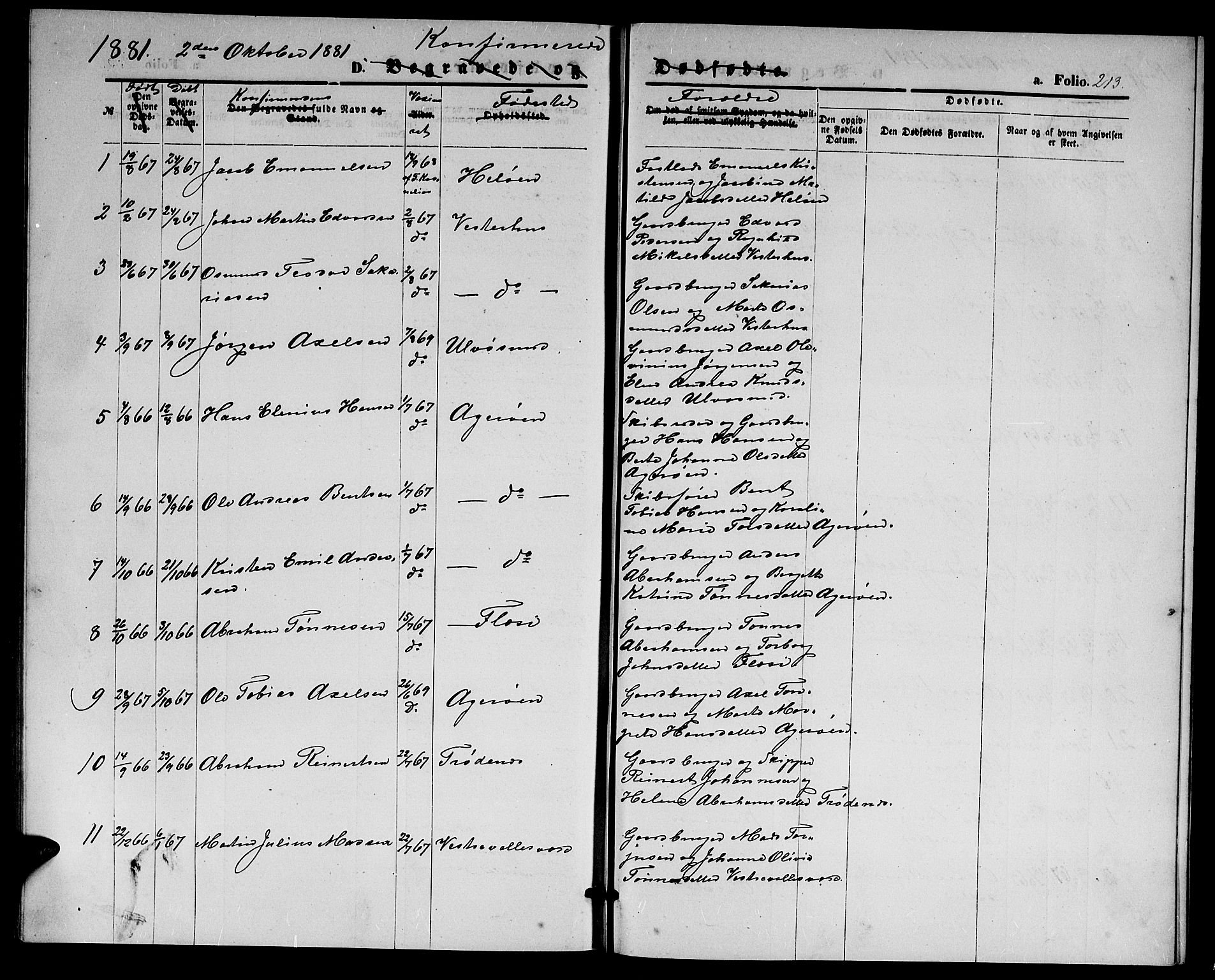 Høvåg sokneprestkontor, SAK/1111-0025/F/Fb/L0003: Parish register (copy) no. B 3, 1870-1882, p. 213