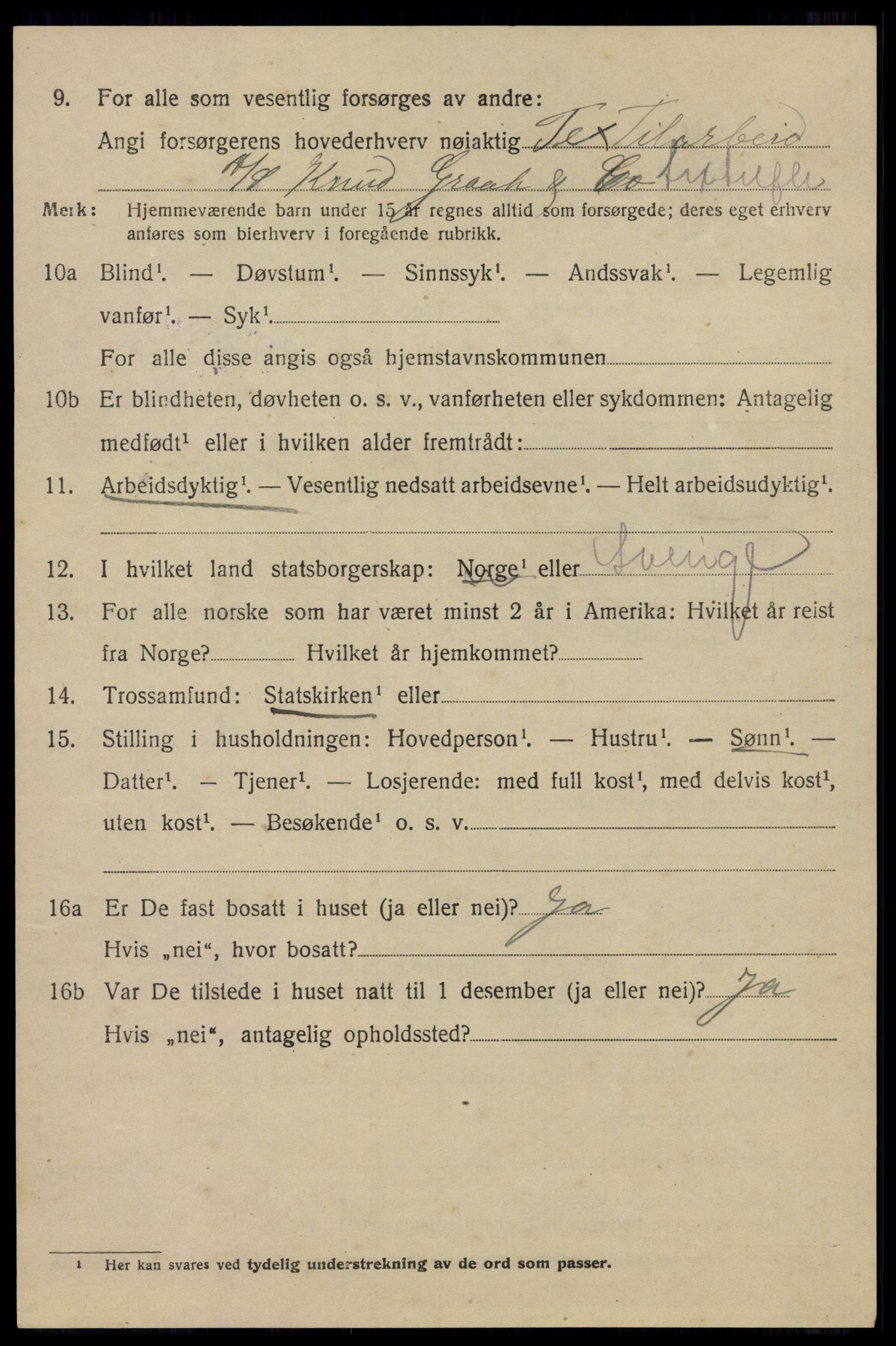 SAO, 1920 census for Aker, 1920, p. 119563