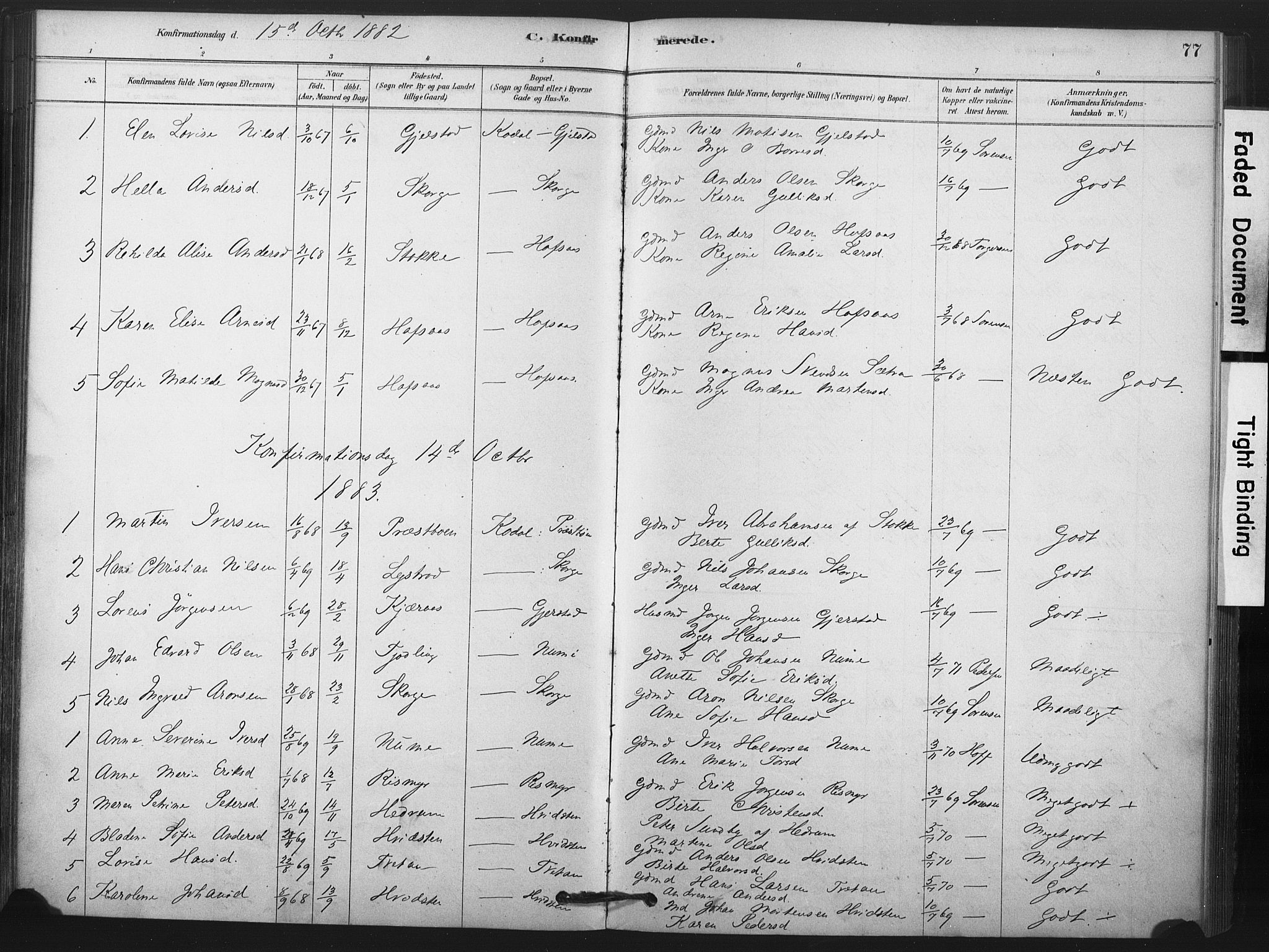 Andebu kirkebøker, AV/SAKO-A-336/F/Fa/L0008: Parish register (official) no. 8, 1878-1902, p. 77