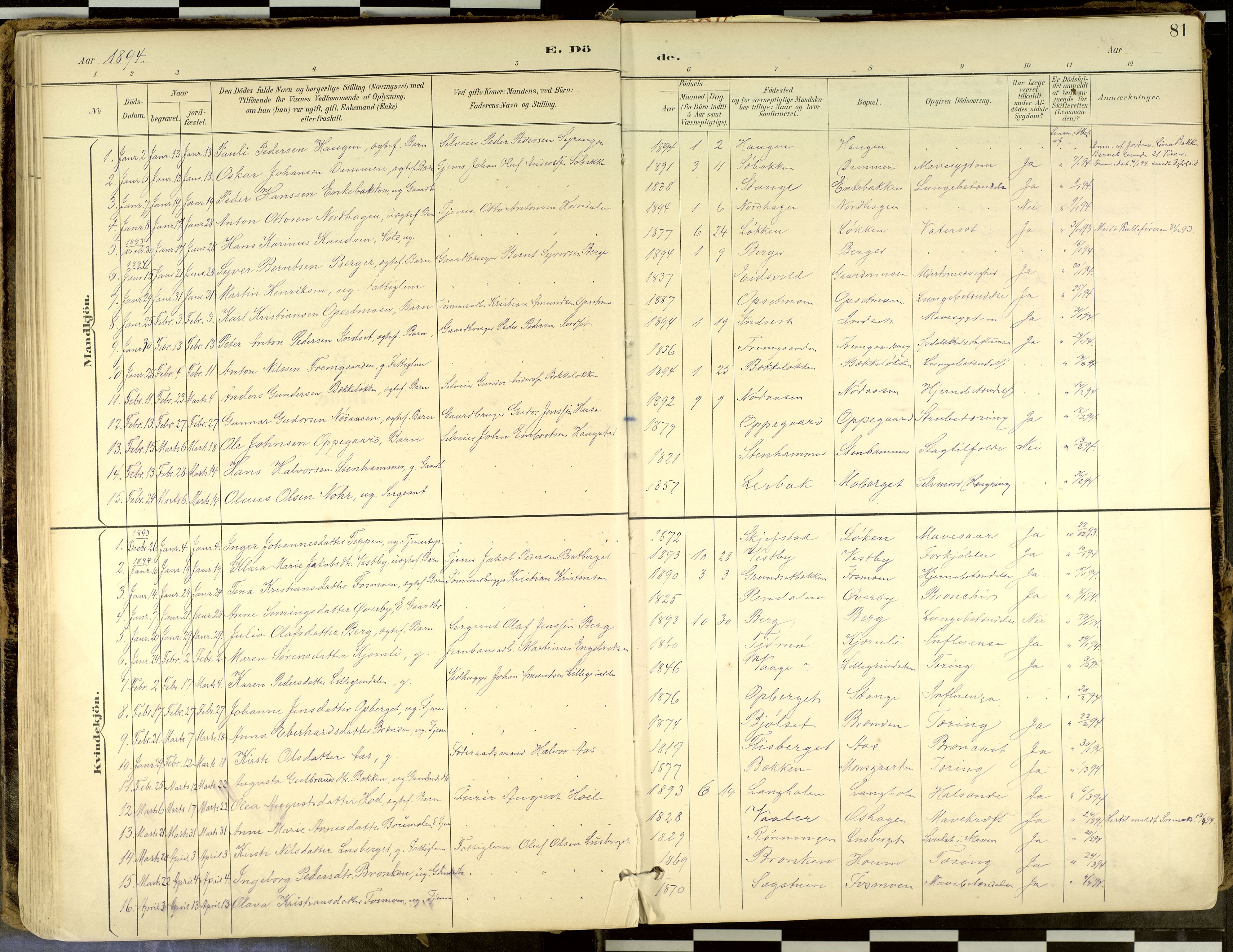 Elverum prestekontor, SAH/PREST-044/H/Ha/Haa/L0018: Parish register (official) no. 18, 1894-1914, p. 81