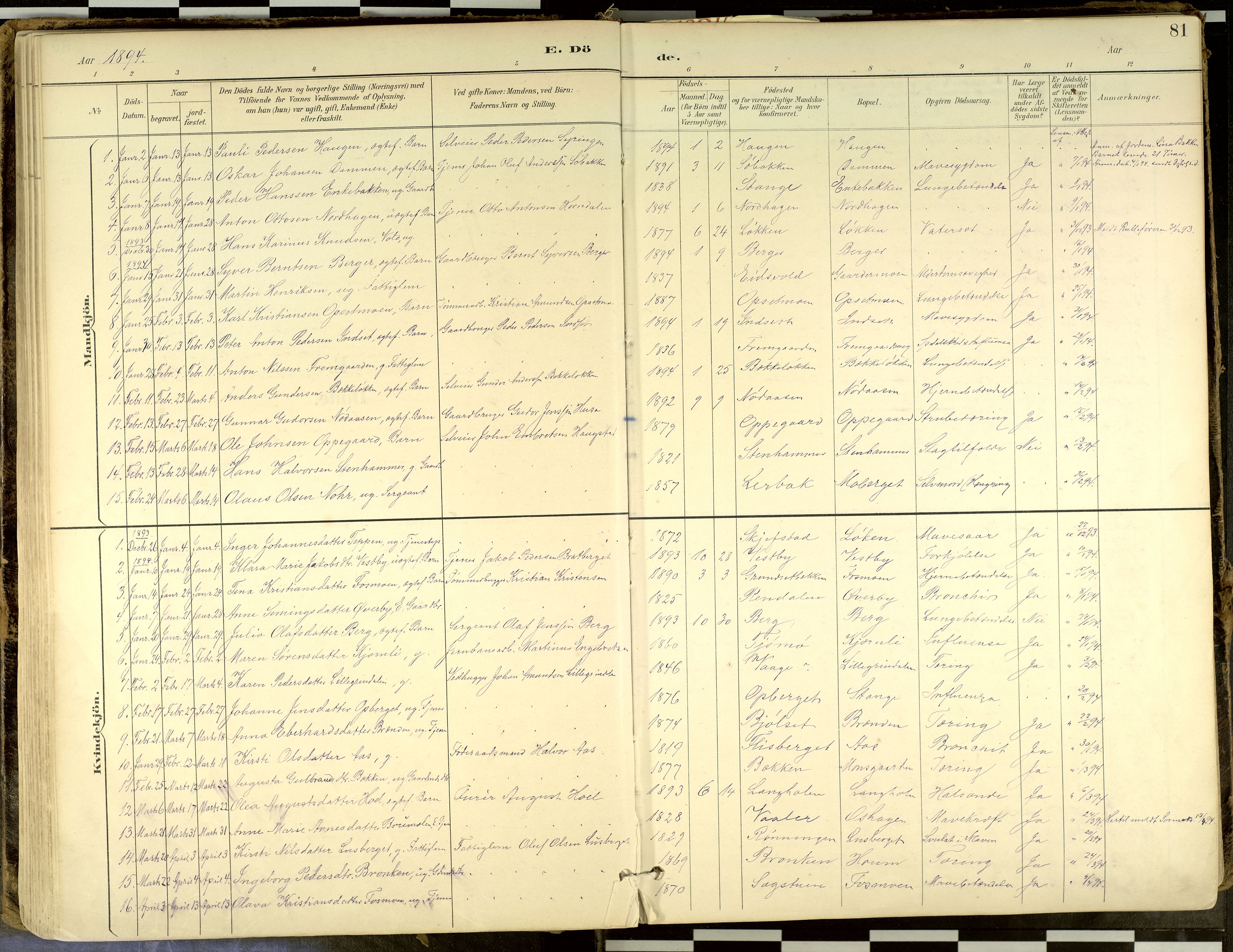 Elverum prestekontor, AV/SAH-PREST-044/H/Ha/Haa/L0018: Parish register (official) no. 18, 1894-1914, p. 81