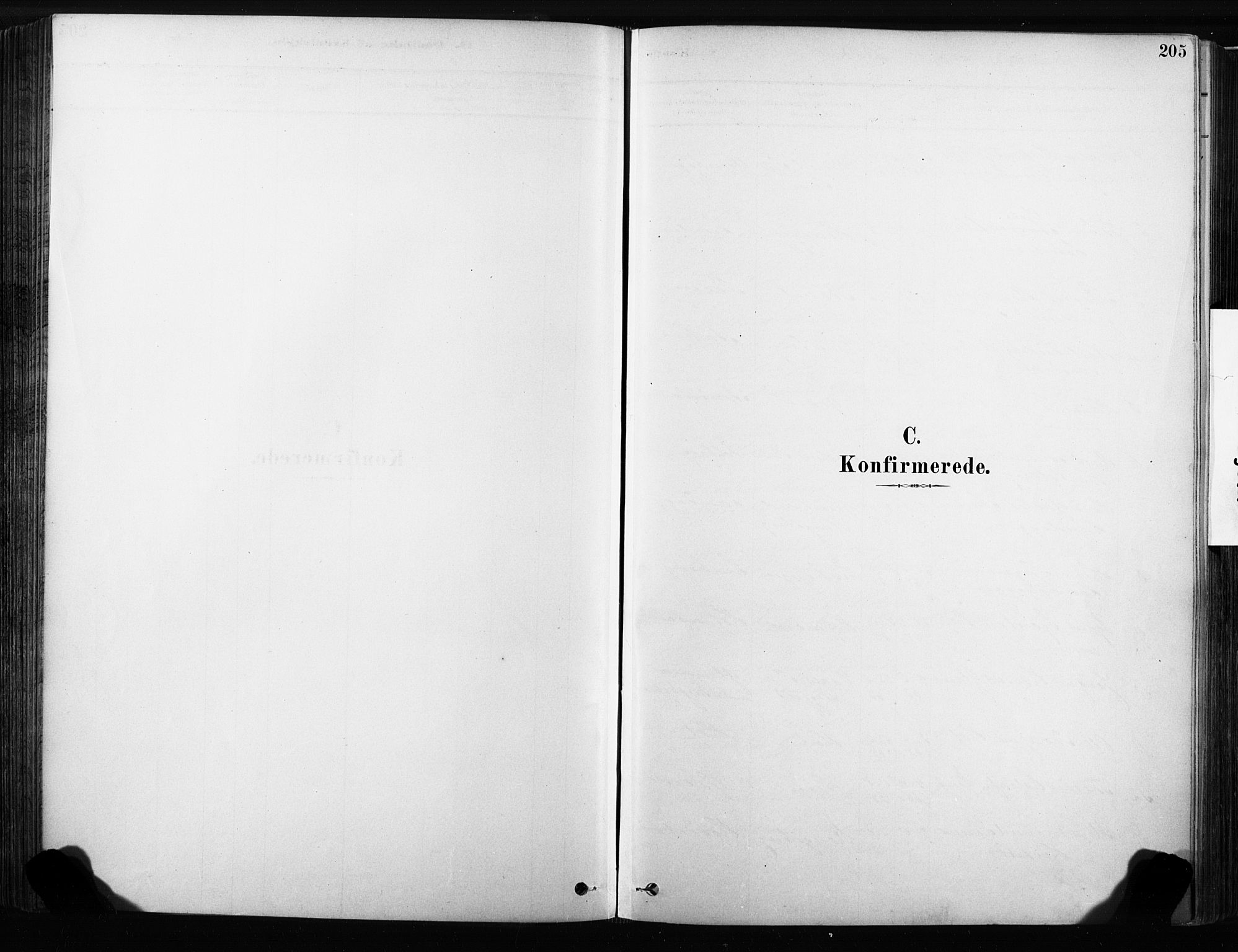 Sandsvær kirkebøker, SAKO/A-244/F/Fb/L0001: Parish register (official) no. II 1, 1878-1906, p. 205