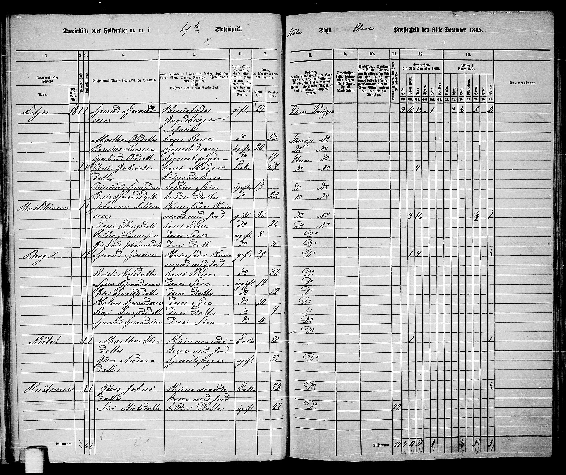 RA, 1865 census for Etne, 1865, p. 26