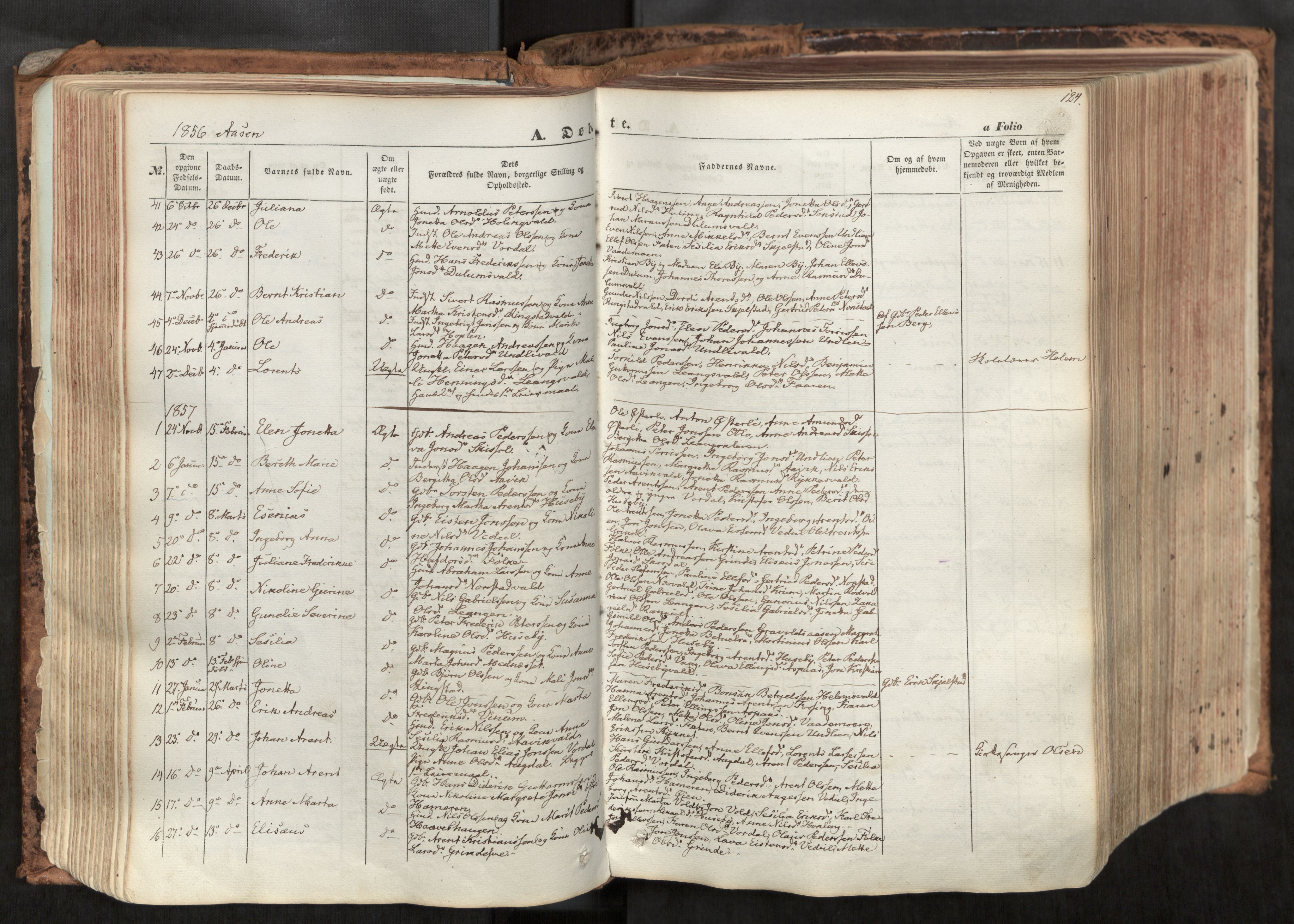 Ministerialprotokoller, klokkerbøker og fødselsregistre - Nord-Trøndelag, SAT/A-1458/713/L0116: Parish register (official) no. 713A07, 1850-1877, p. 124