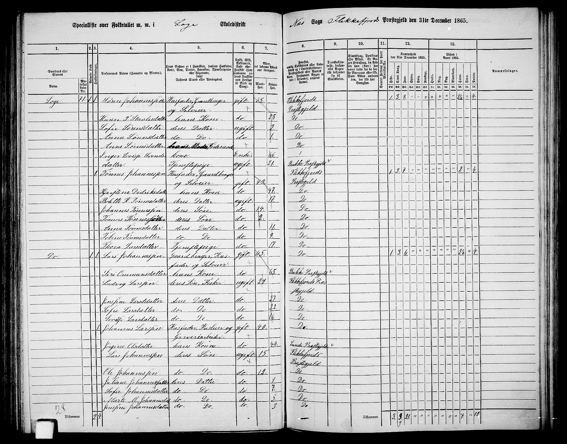 RA, 1865 census for Flekkefjord/Nes og Hidra, 1865, p. 117