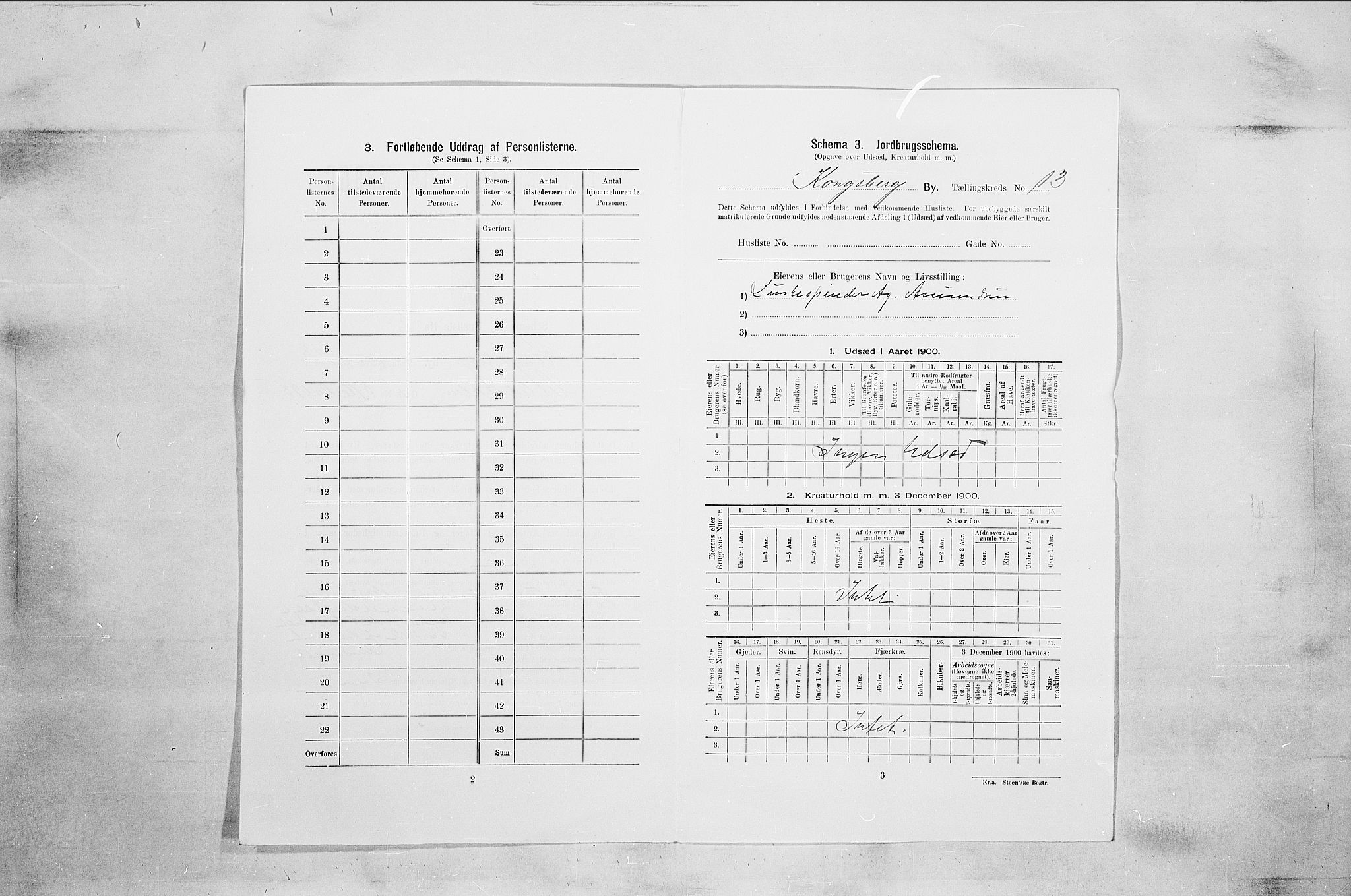 RA, 1900 census for Kongsberg, 1900, p. 2241