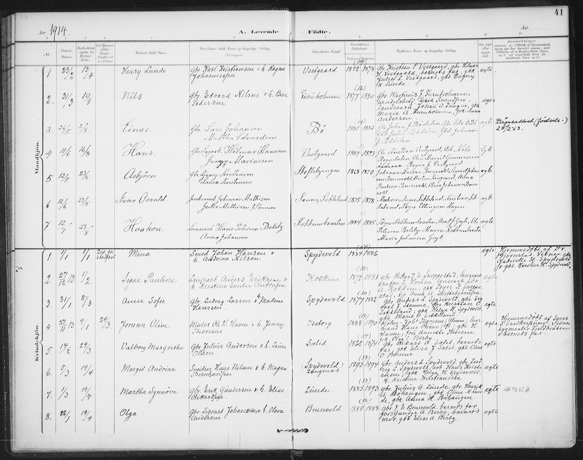 Varteig prestekontor Kirkebøker, SAO/A-10447a/F/Fa/L0003: Parish register (official) no. 3, 1899-1919, p. 41