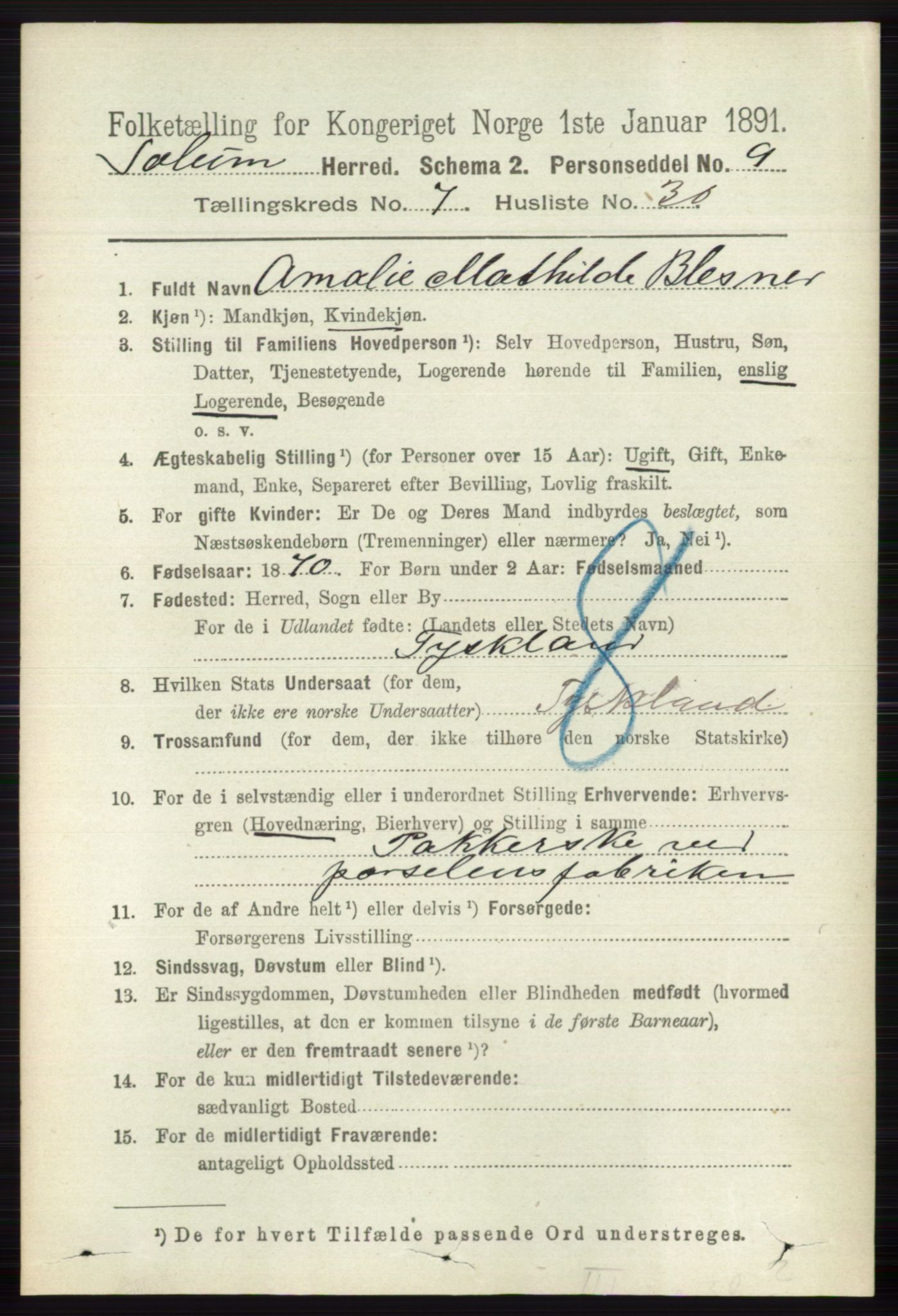 RA, 1891 census for 0818 Solum, 1891, p. 2868