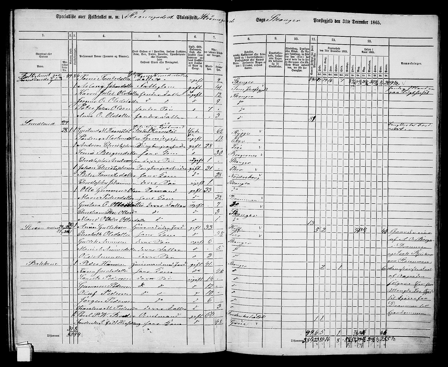 RA, 1865 census for Skoger, 1865, p. 129