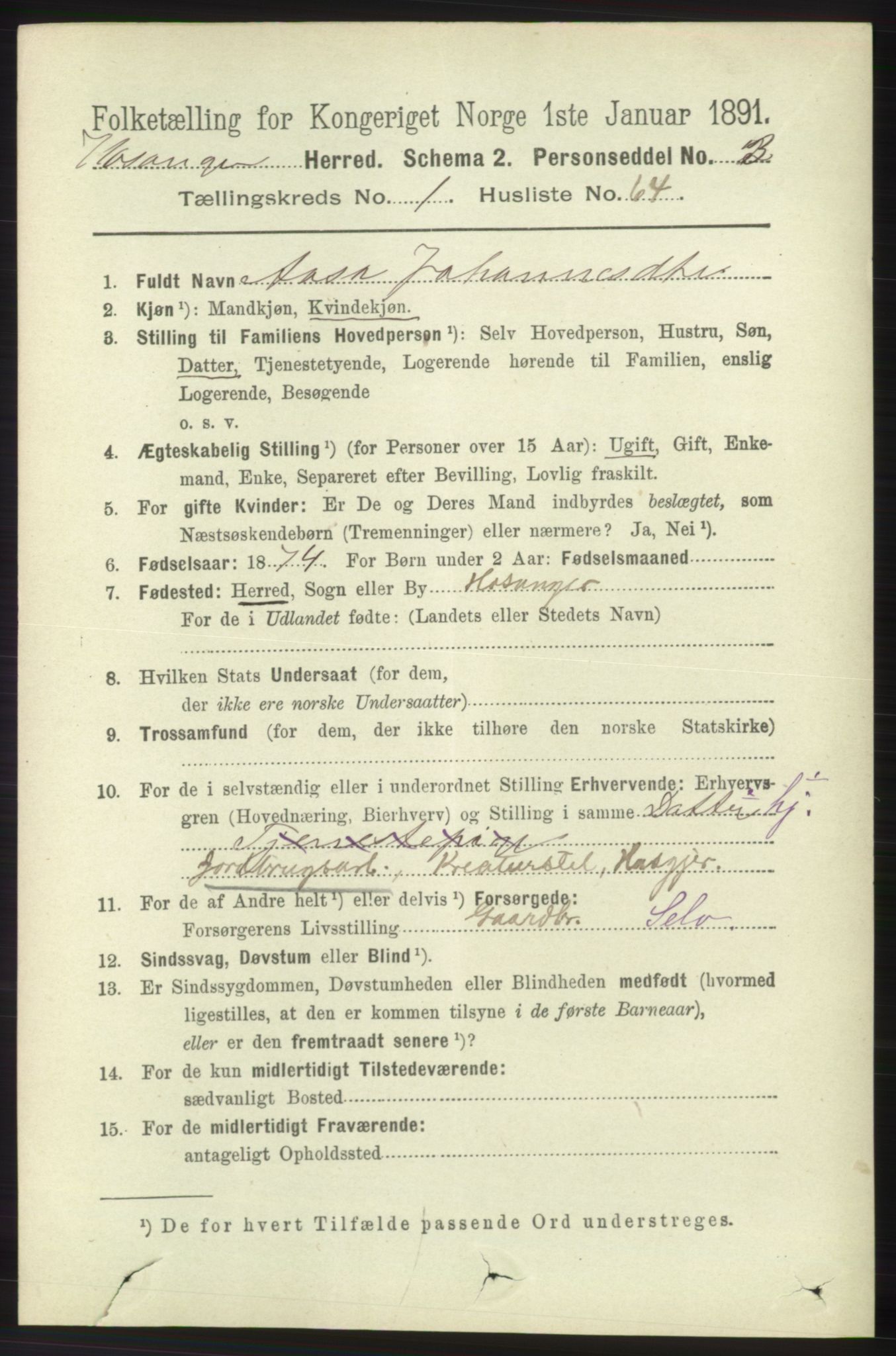 RA, 1891 census for 1253 Hosanger, 1891, p. 506