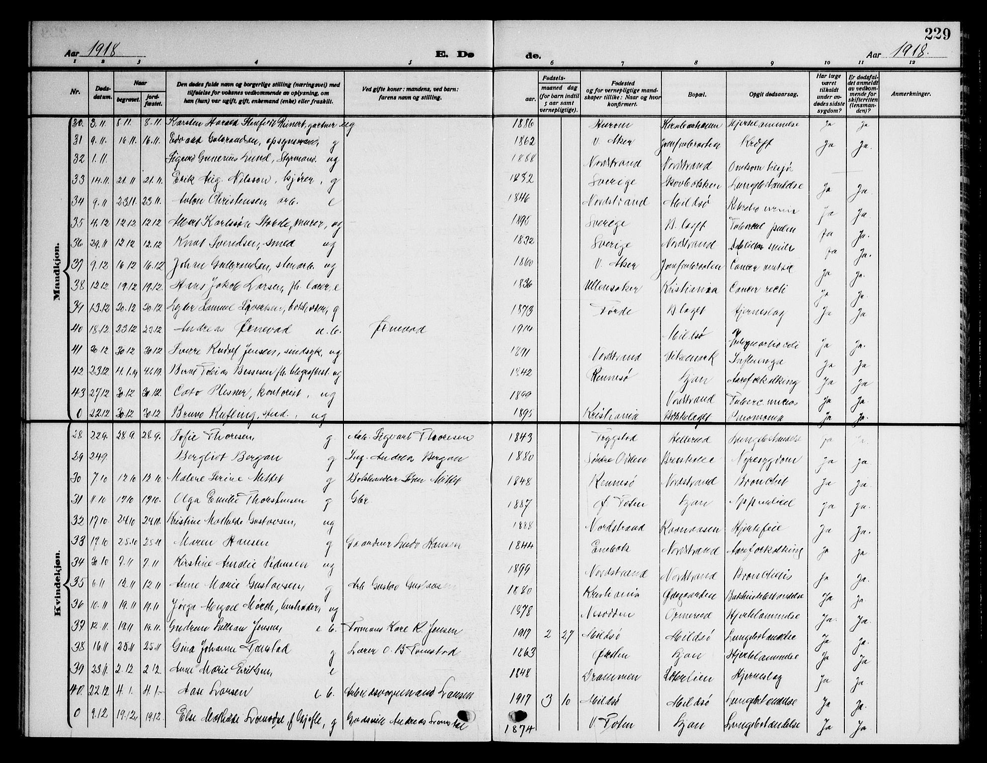 Nordstrand prestekontor Kirkebøker, AV/SAO-A-10362a/G/Ga/L0001: Parish register (copy) no. I 1, 1911-1918, p. 229