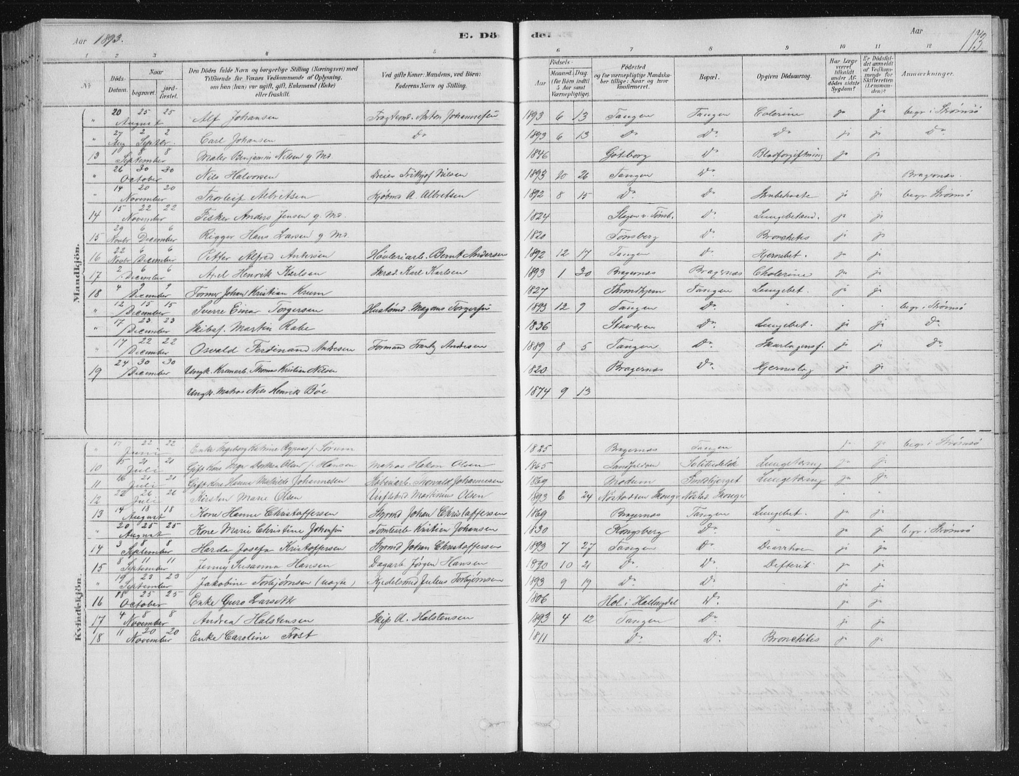 Strømsø kirkebøker, AV/SAKO-A-246/F/Fb/L0005: Parish register (official) no. II 5, 1877-1902, p. 173