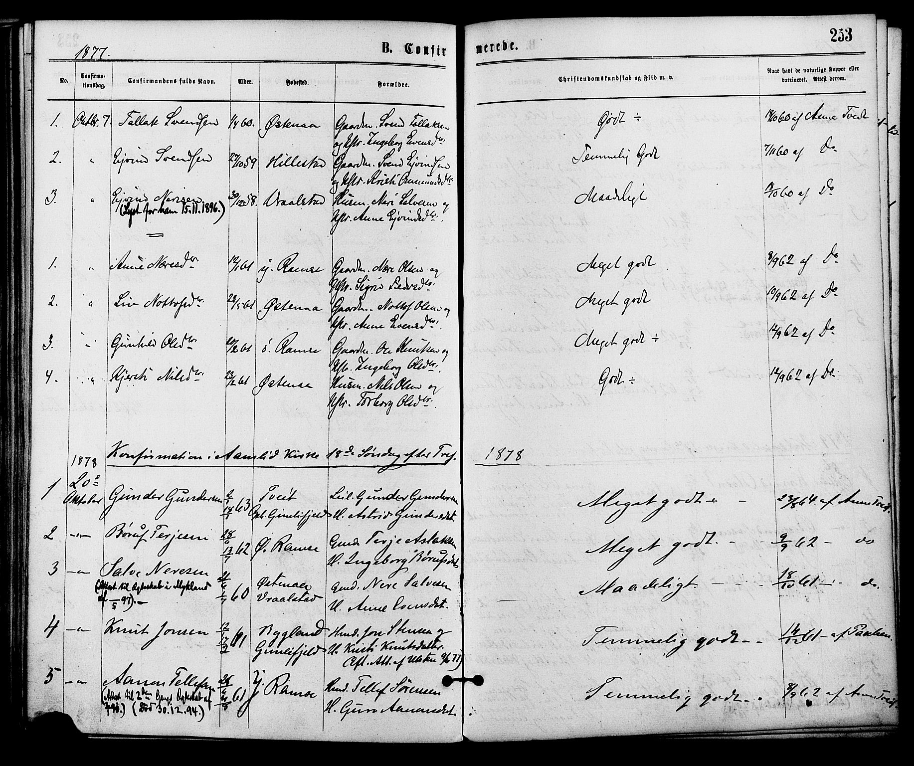 Åmli sokneprestkontor, SAK/1111-0050/F/Fa/Fac/L0009: Parish register (official) no. A 9 /3, 1869-1884, p. 253