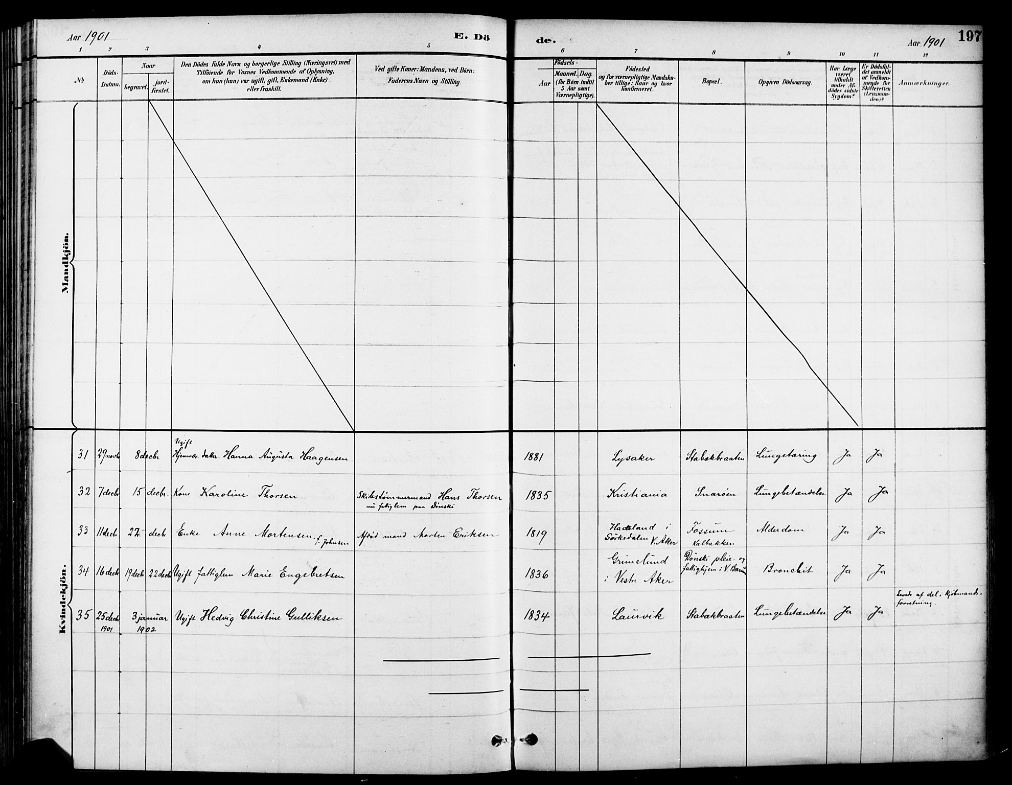Asker prestekontor Kirkebøker, SAO/A-10256a/F/Fc/L0003: Parish register (official) no. III 3, 1892-1904, p. 197