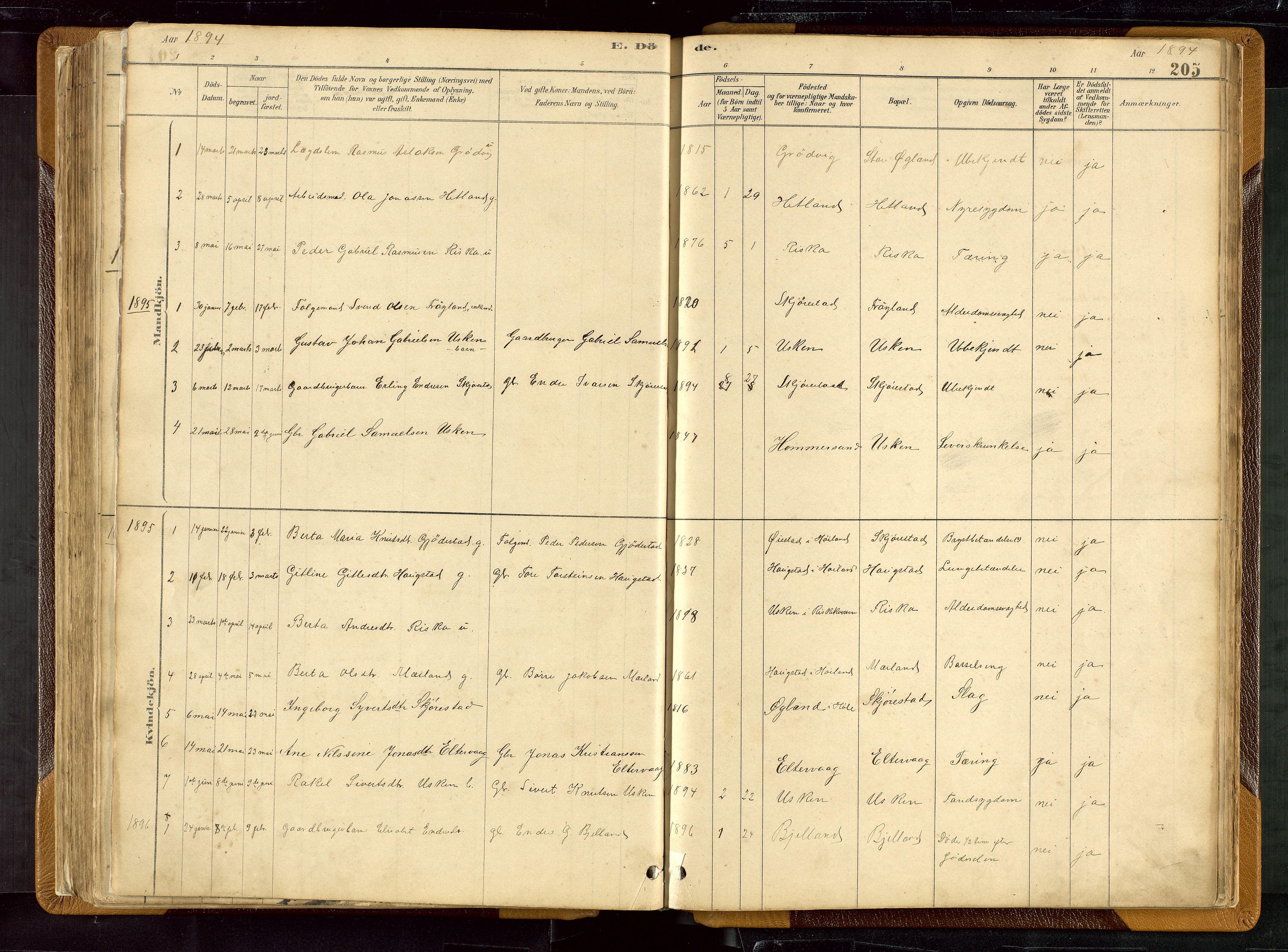 Hetland sokneprestkontor, SAST/A-101826/30/30BB/L0007: Parish register (copy) no. B 7, 1878-1910, p. 205