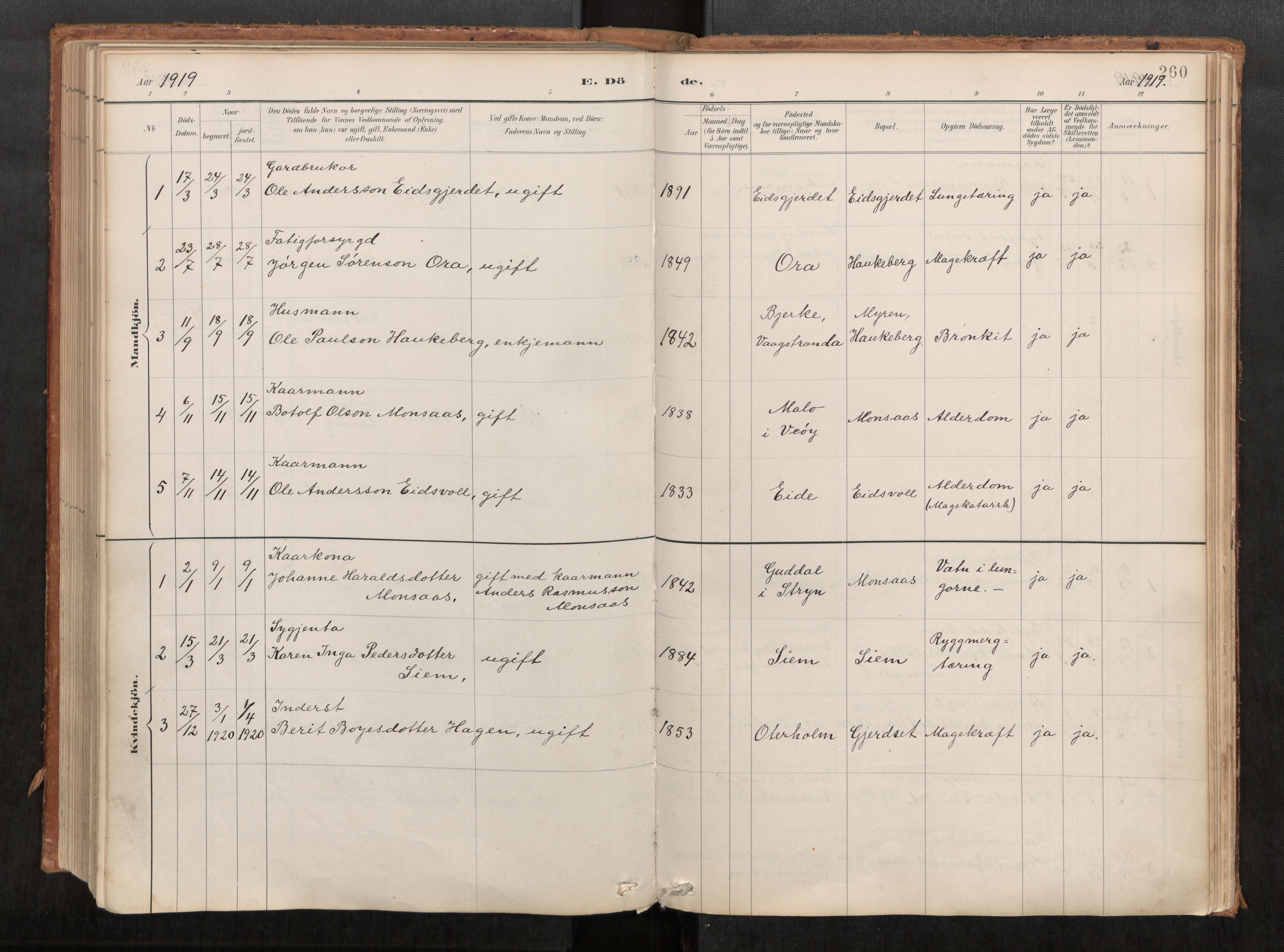 Ministerialprotokoller, klokkerbøker og fødselsregistre - Møre og Romsdal, AV/SAT-A-1454/542/L0553: Parish register (official) no. 542A03, 1885-1925, p. 260