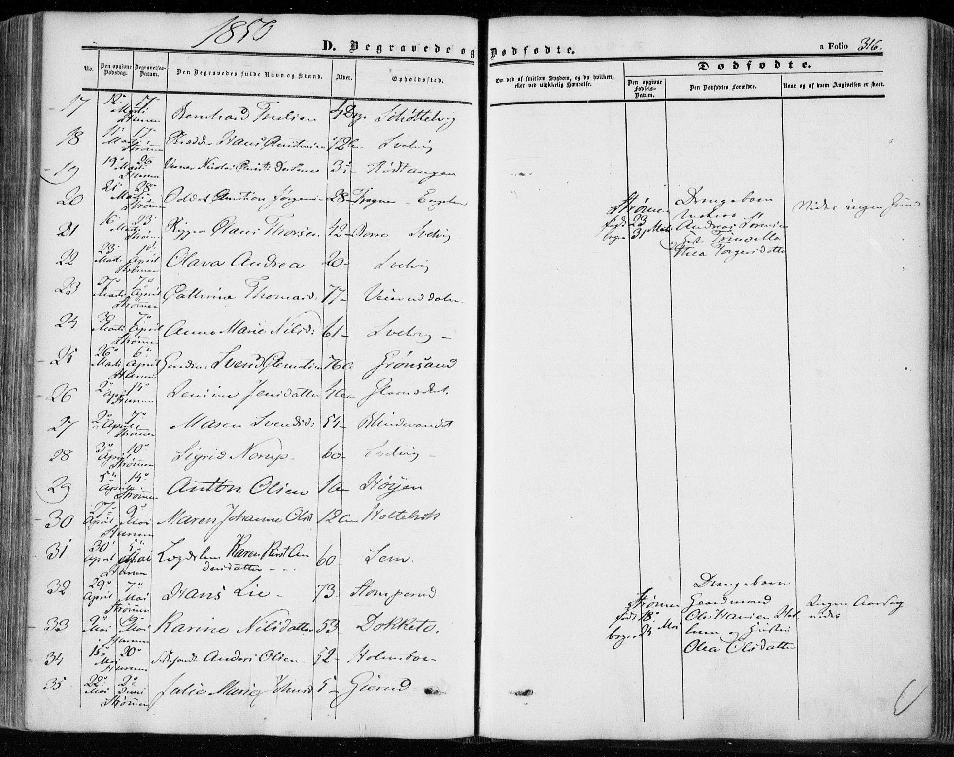 Hurum kirkebøker, SAKO/A-229/F/Fa/L0011: Parish register (official) no. 11, 1847-1860, p. 316